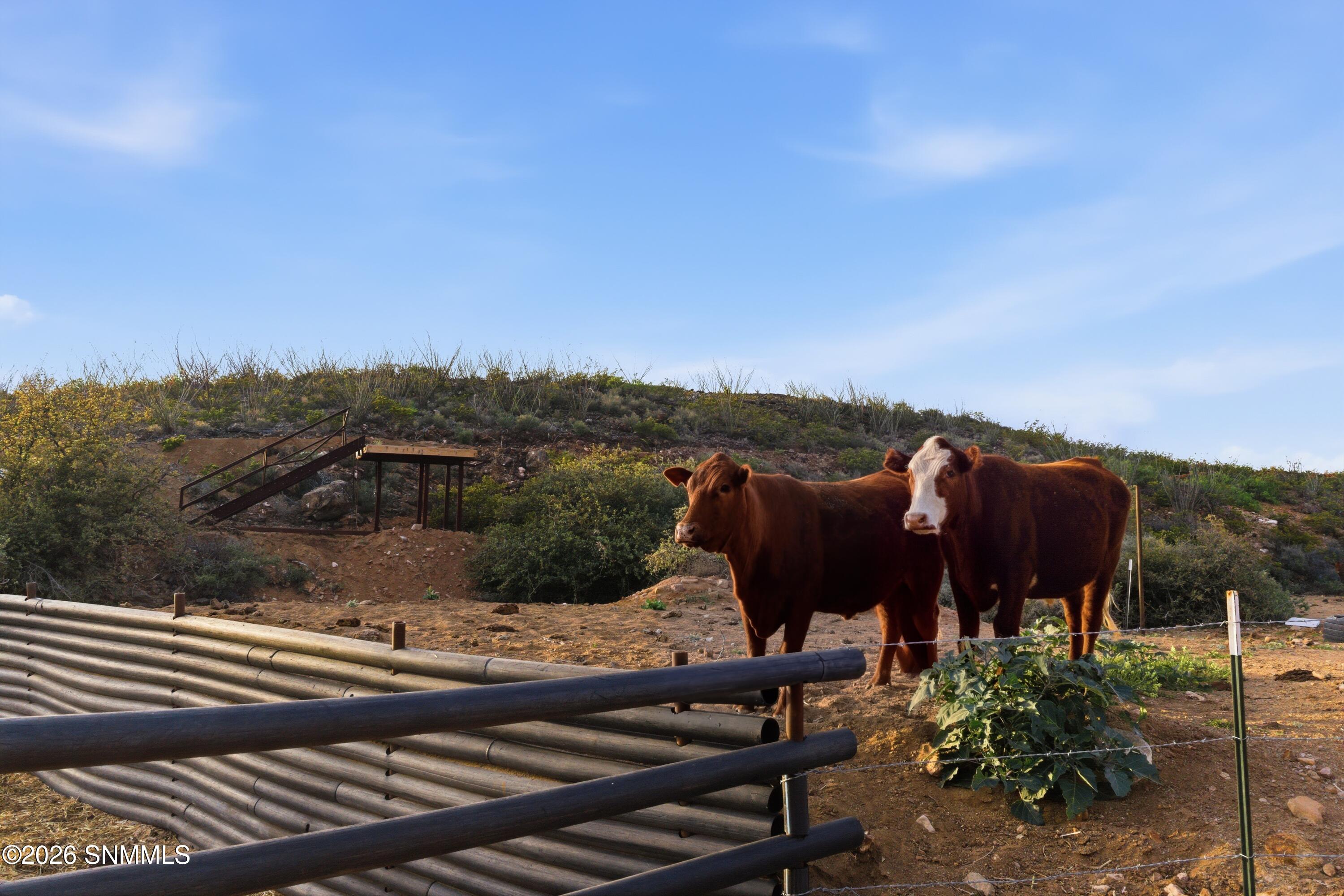 Cactus_Keys_Group_019