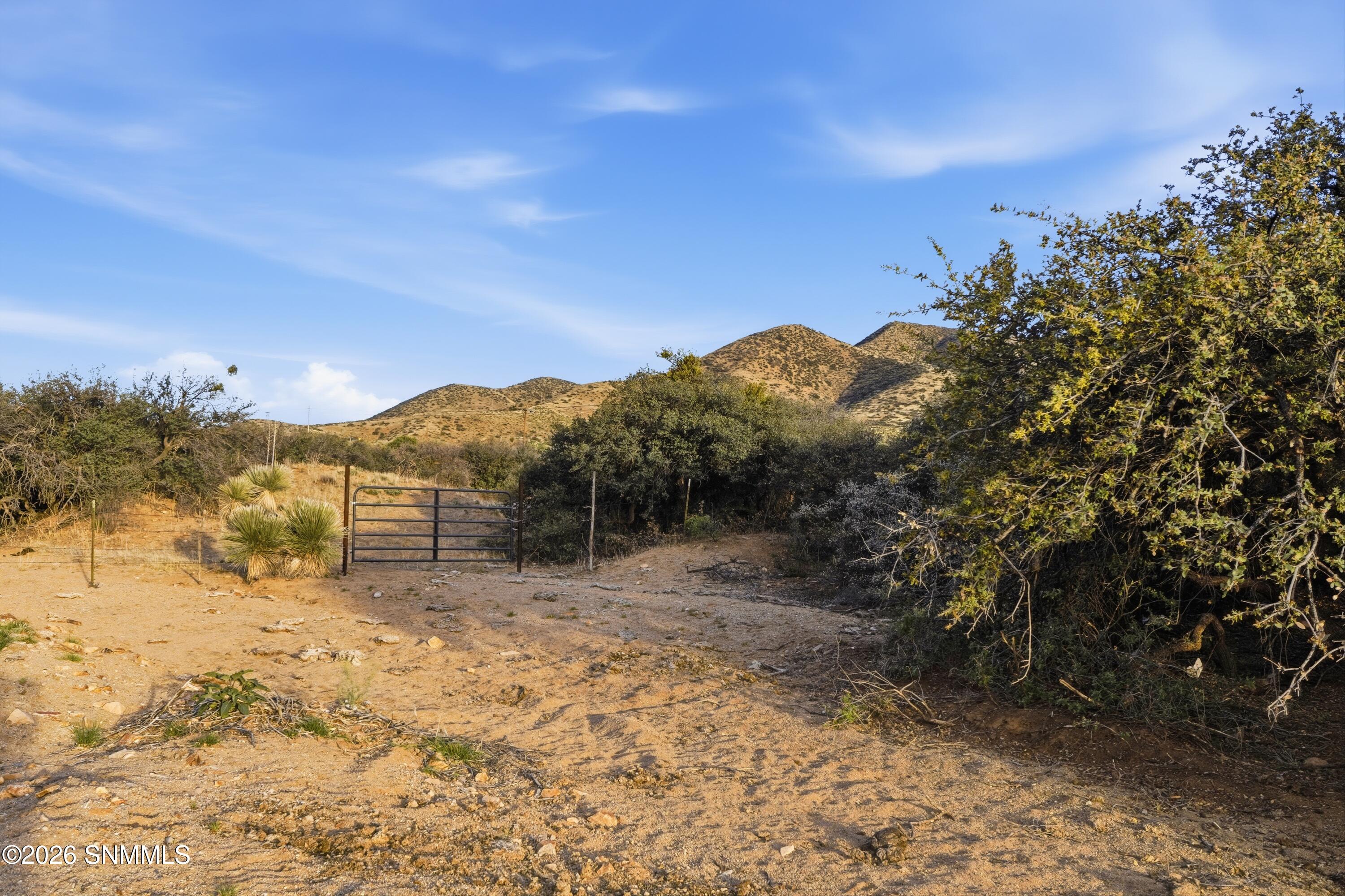 Cactus_Keys_Group_022