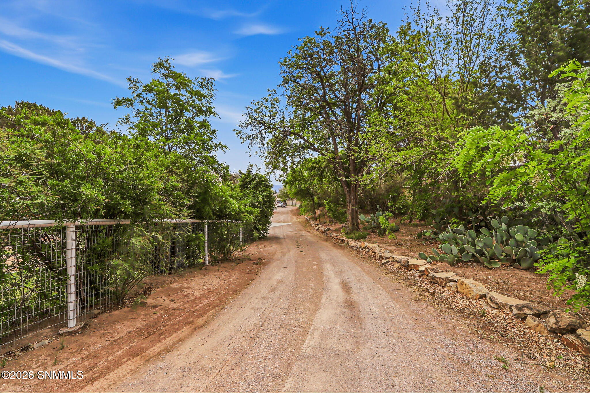 120-web-or-mls-IMG_8824