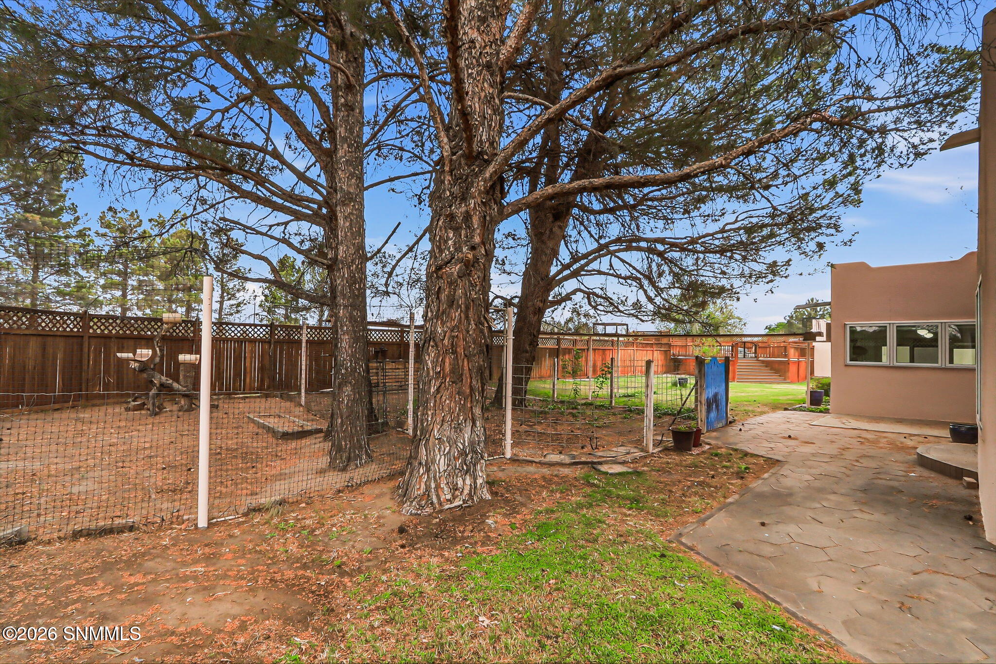 76-web-or-mls-IMG_8404