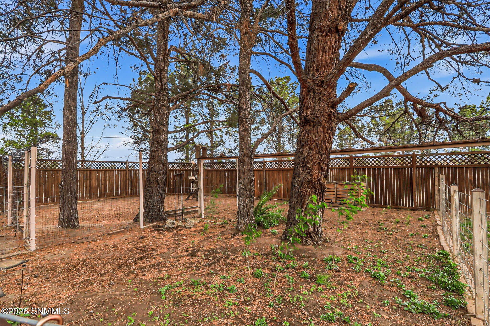 78-web-or-mls-IMG_8418