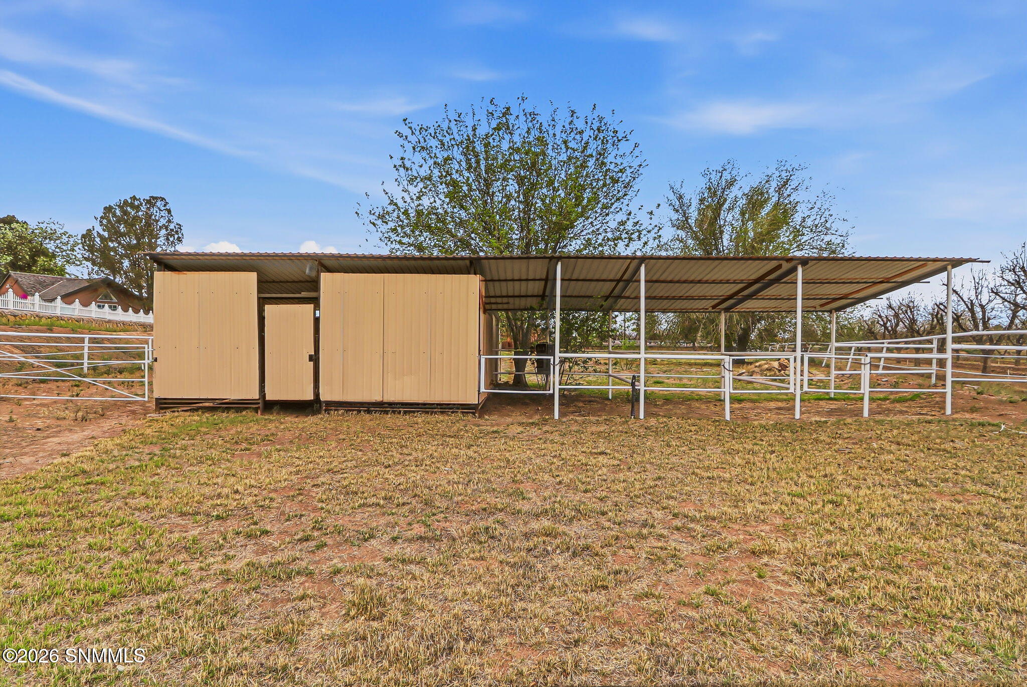 89-web-or-mls-IMG_8537