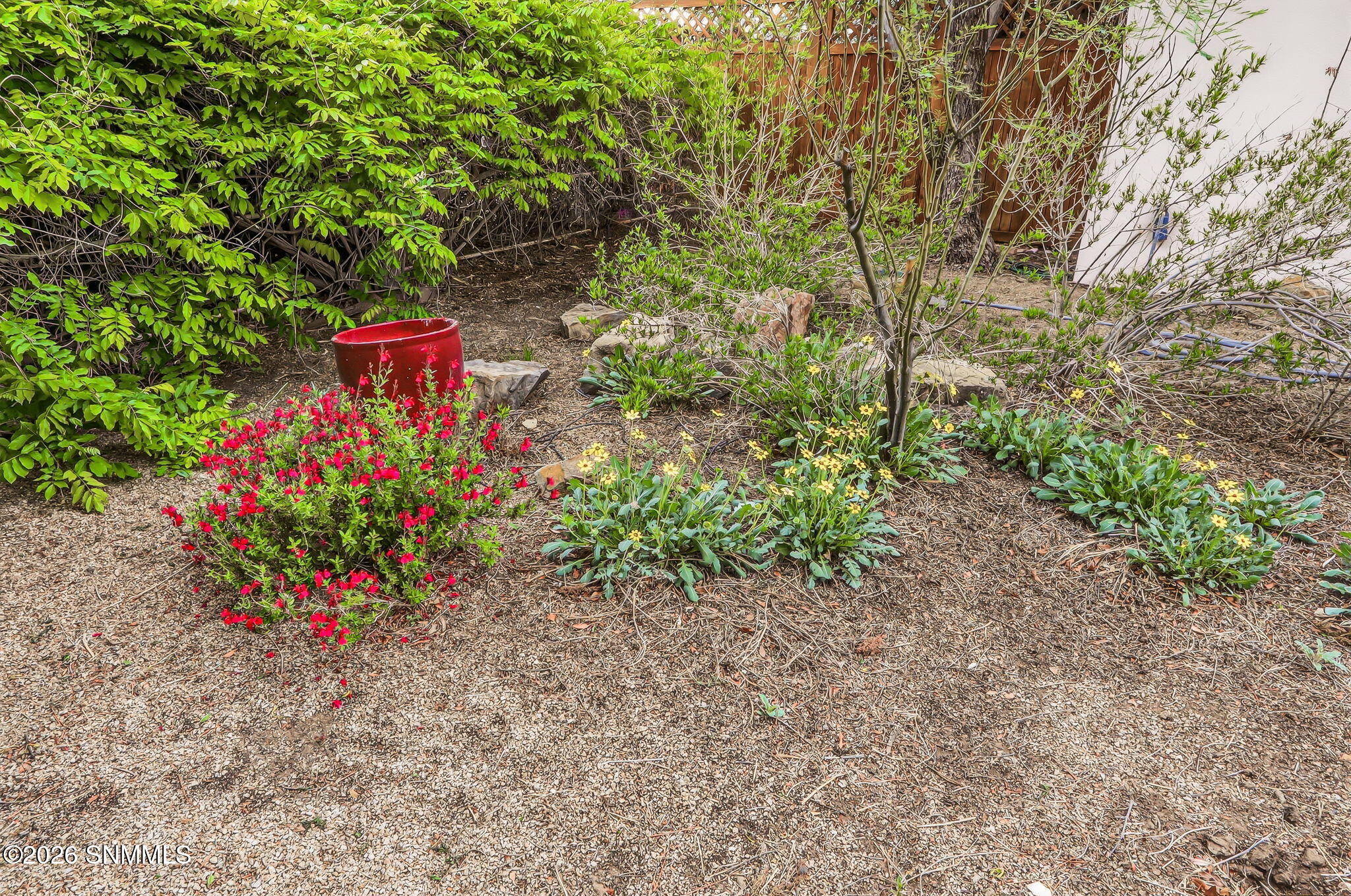 101-web-or-mls-IMG_8656