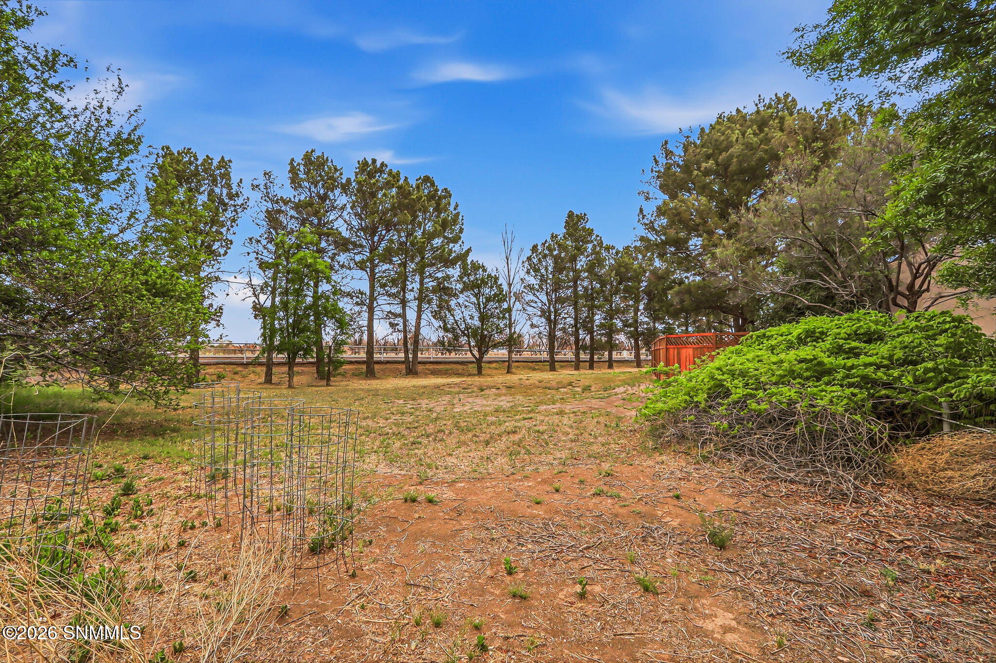 100-web-or-mls-IMG_8649