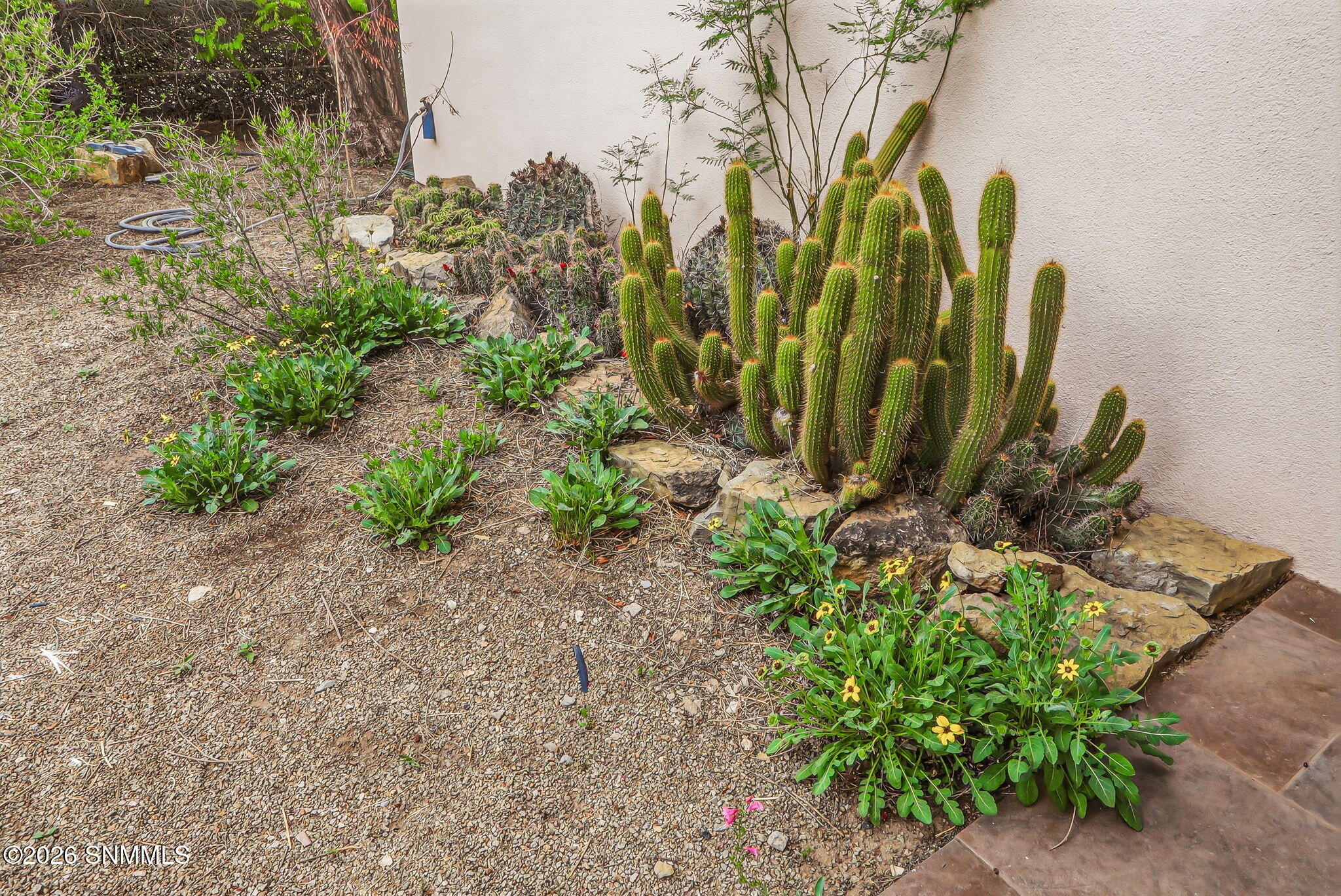 102-web-or-mls-IMG_8663