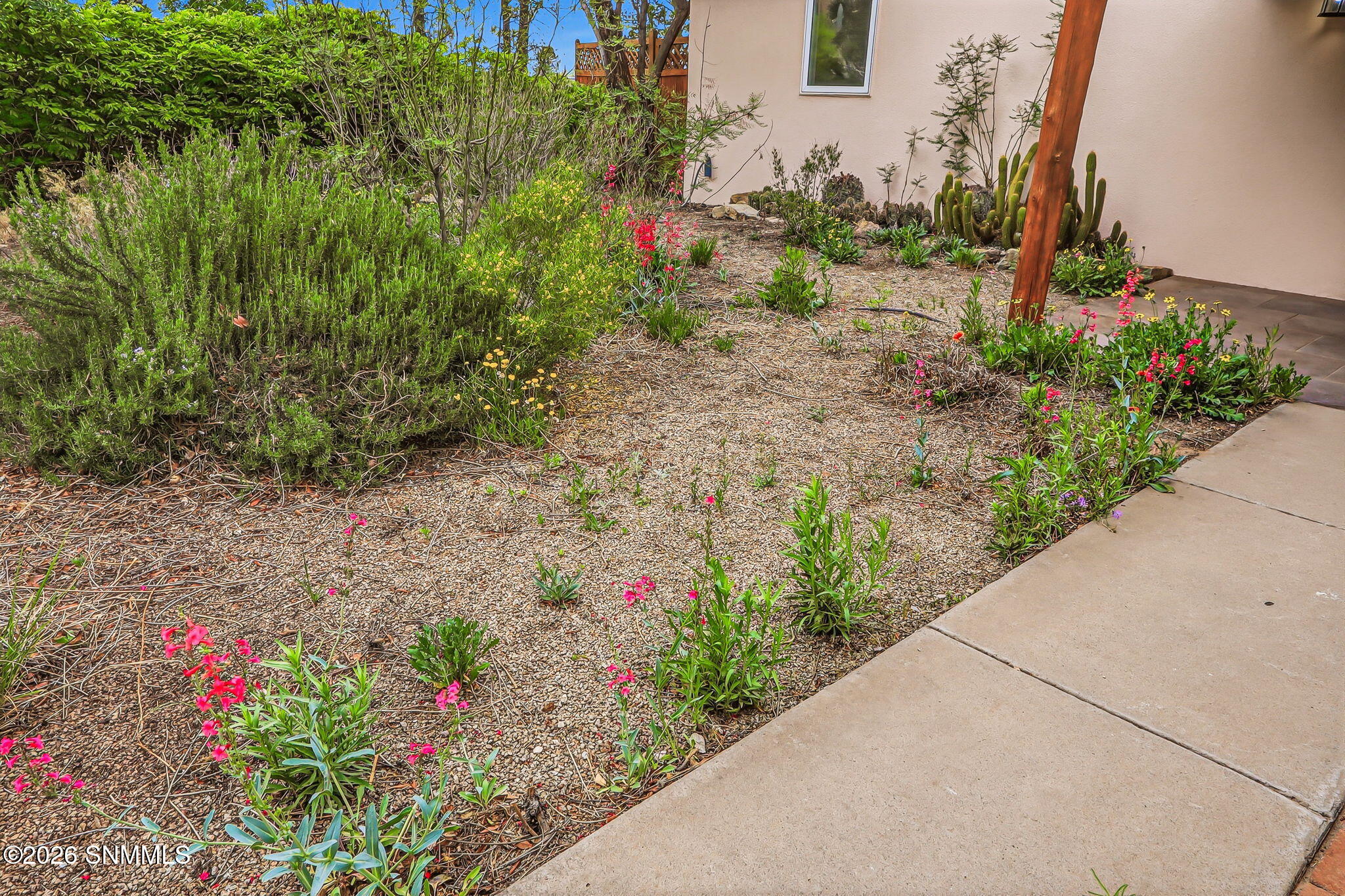 103-web-or-mls-IMG_8670