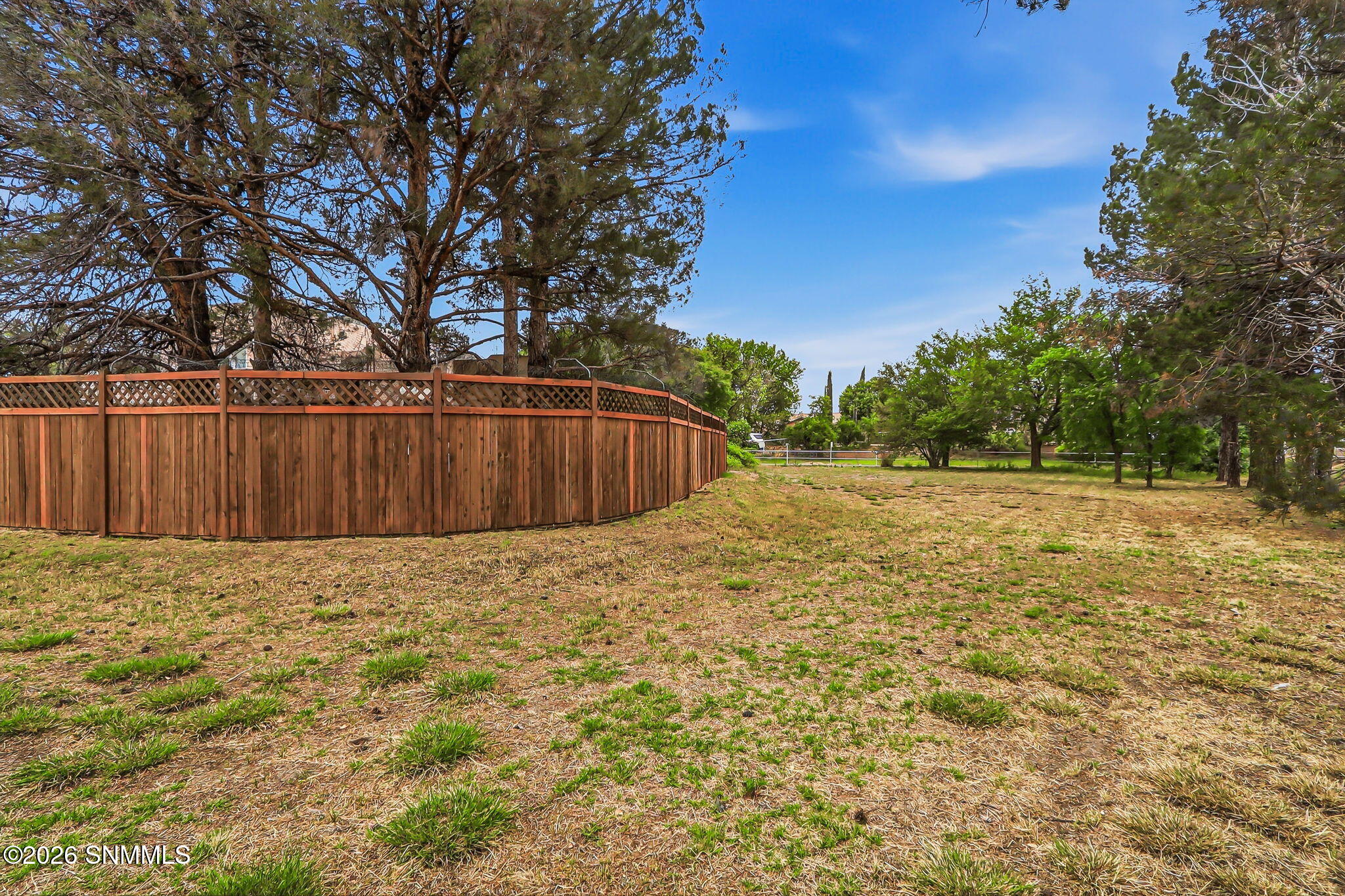 105-web-or-mls-IMG_8691