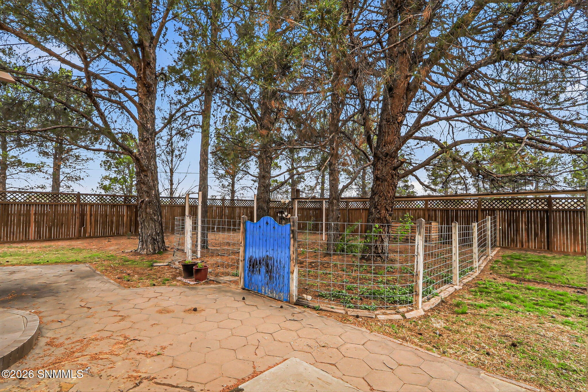 77-web-or-mls-IMG_8411