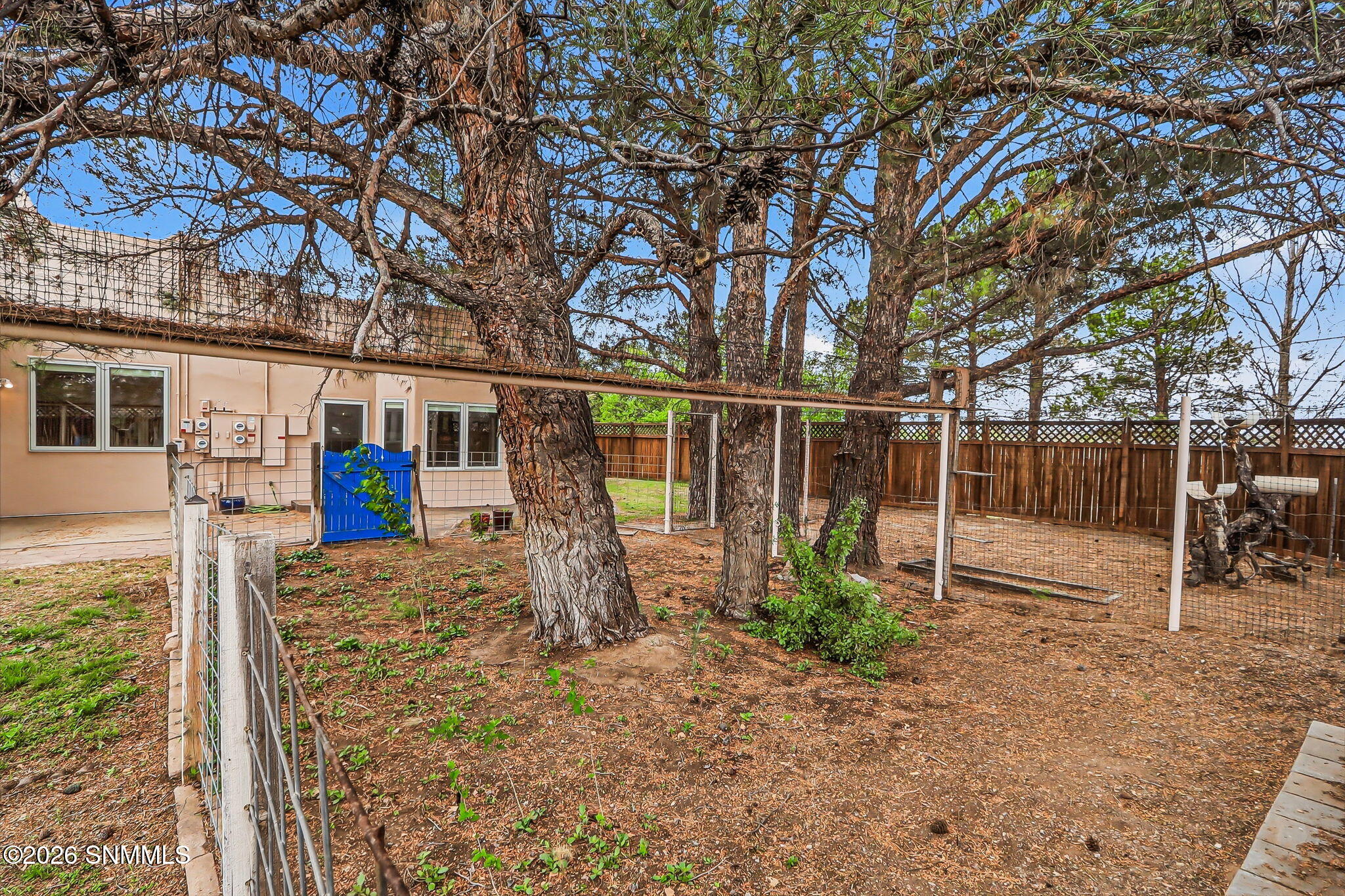 79-web-or-mls-IMG_8432