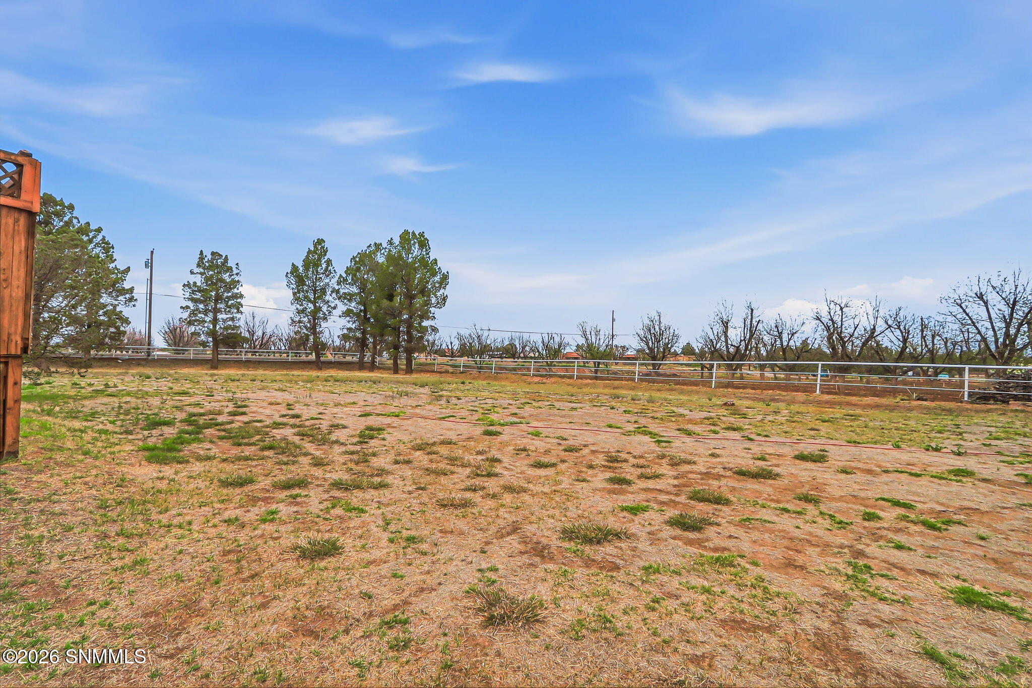 85-web-or-mls-IMG_8502