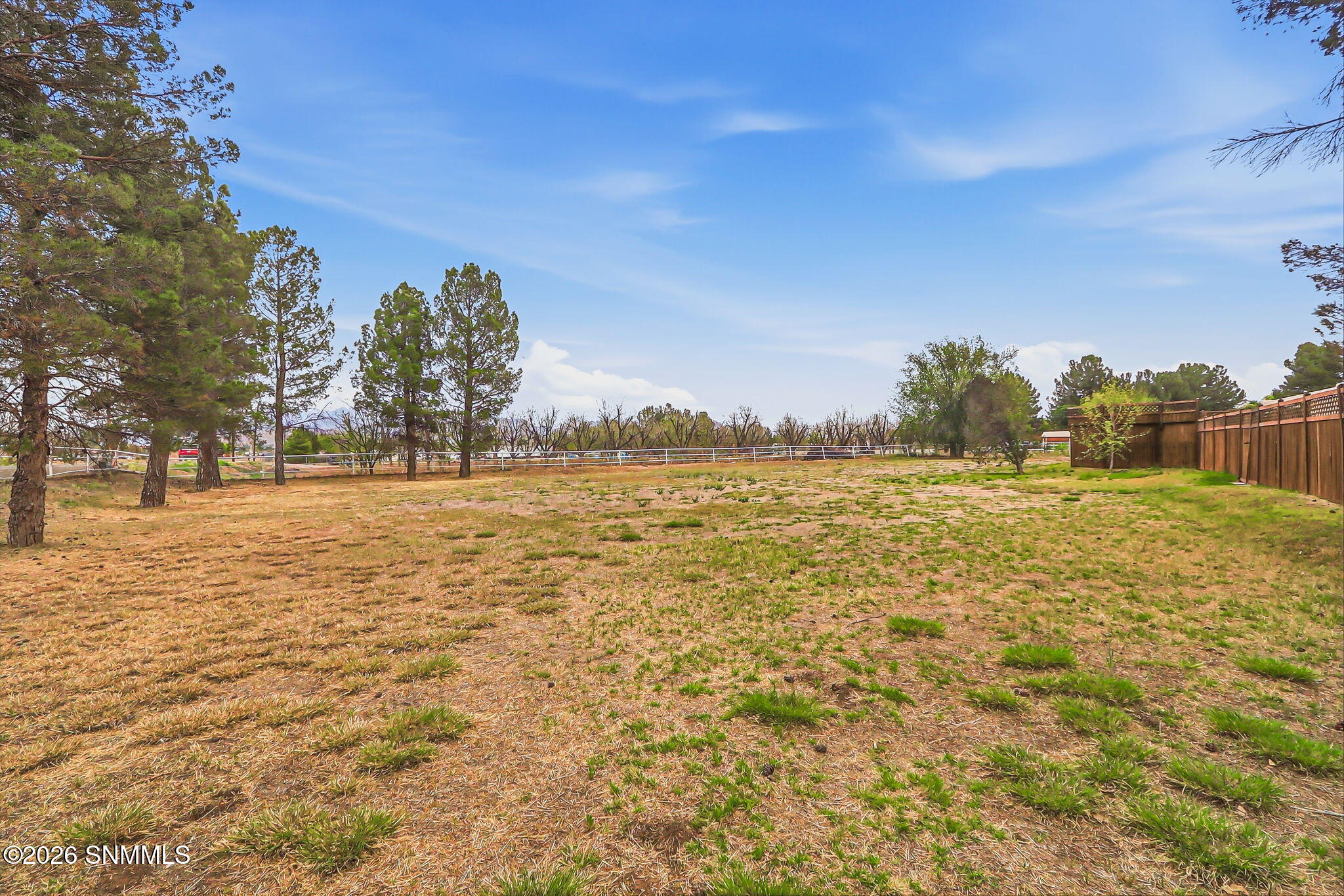 106-web-or-mls-IMG_8698