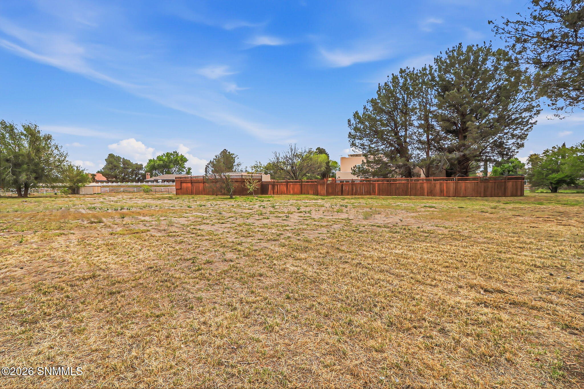 107-web-or-mls-IMG_8705