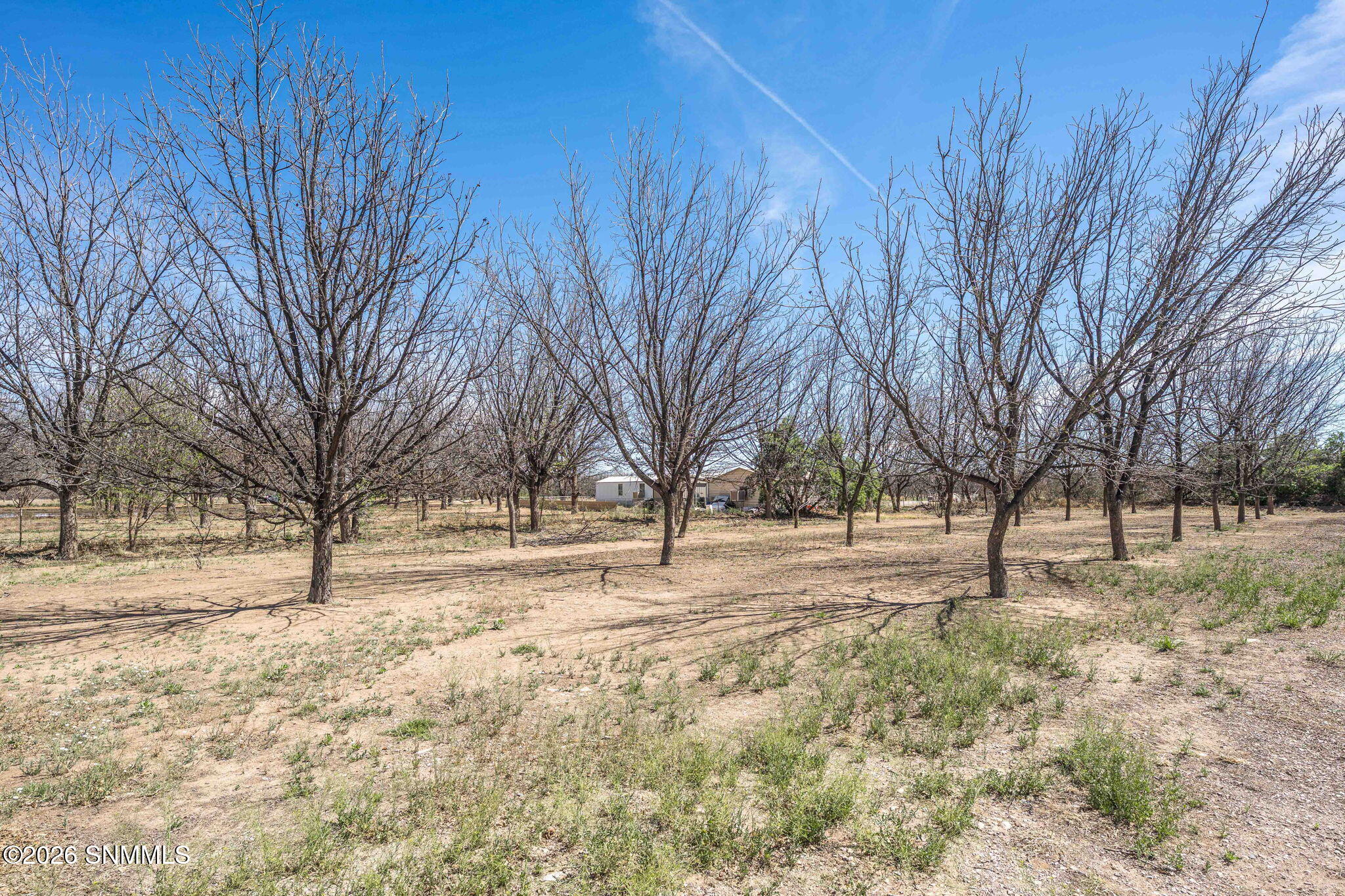 47-web-or-mls-Snappin Homes (Polvadera21