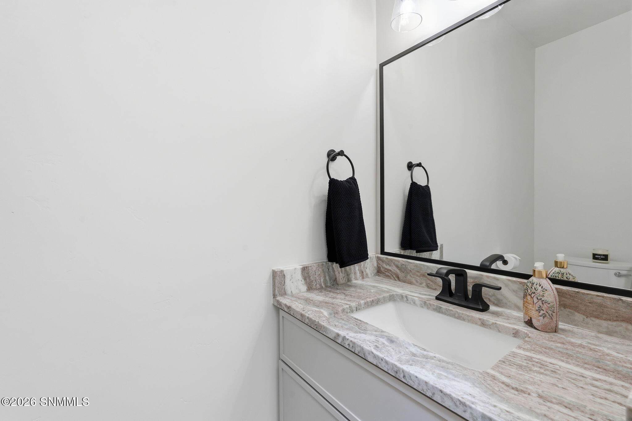 43-web-or-mls-DSC01824