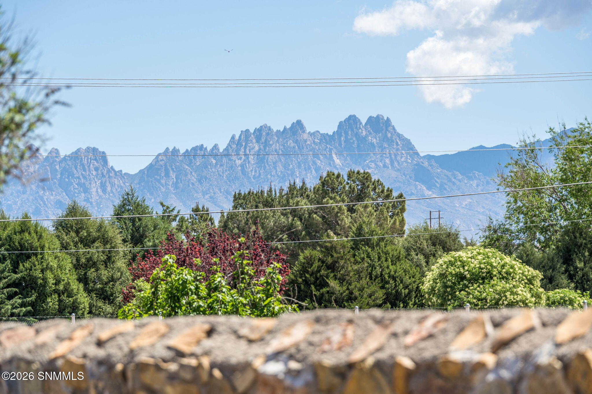 53-web-or-mls-Snappin Homes (Taylor115)-