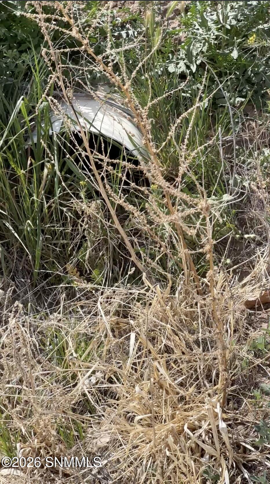 10092 E Provencio-10