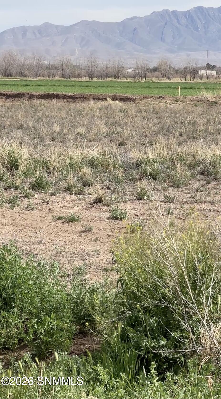 10092 E Provencio-18