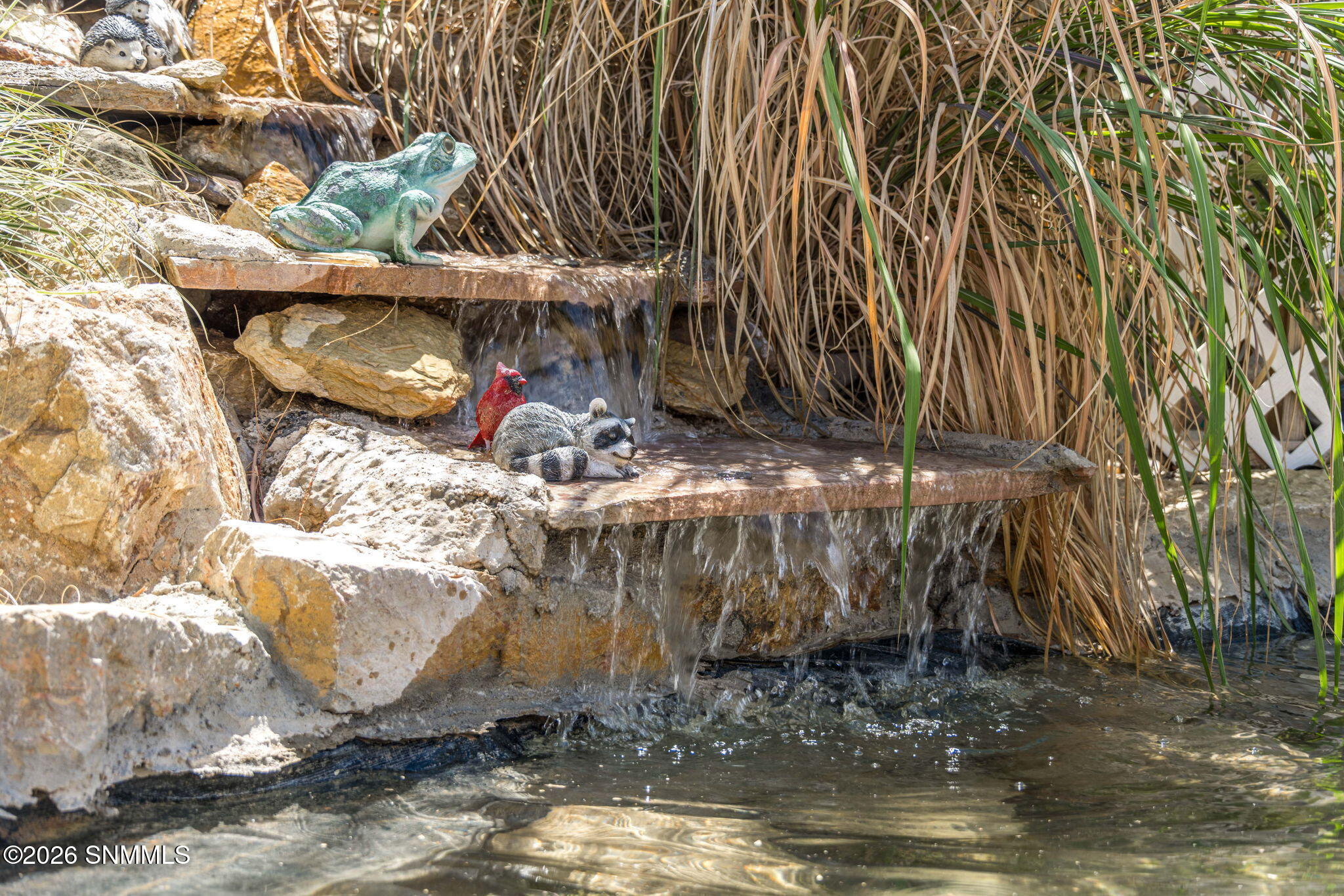 54-web-or-mls-Snappin Homes (WildSky6152