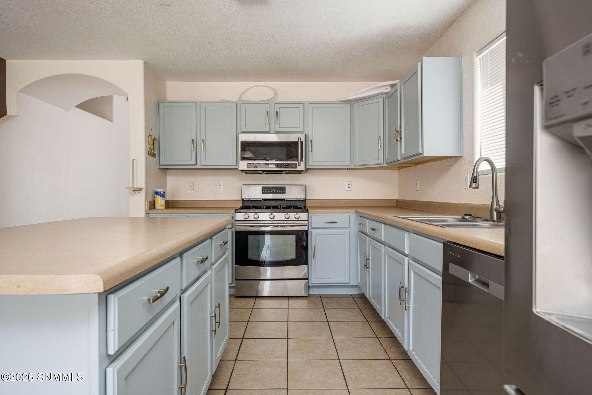 10_Patty Olson_Blue Mountain_Las Cruces