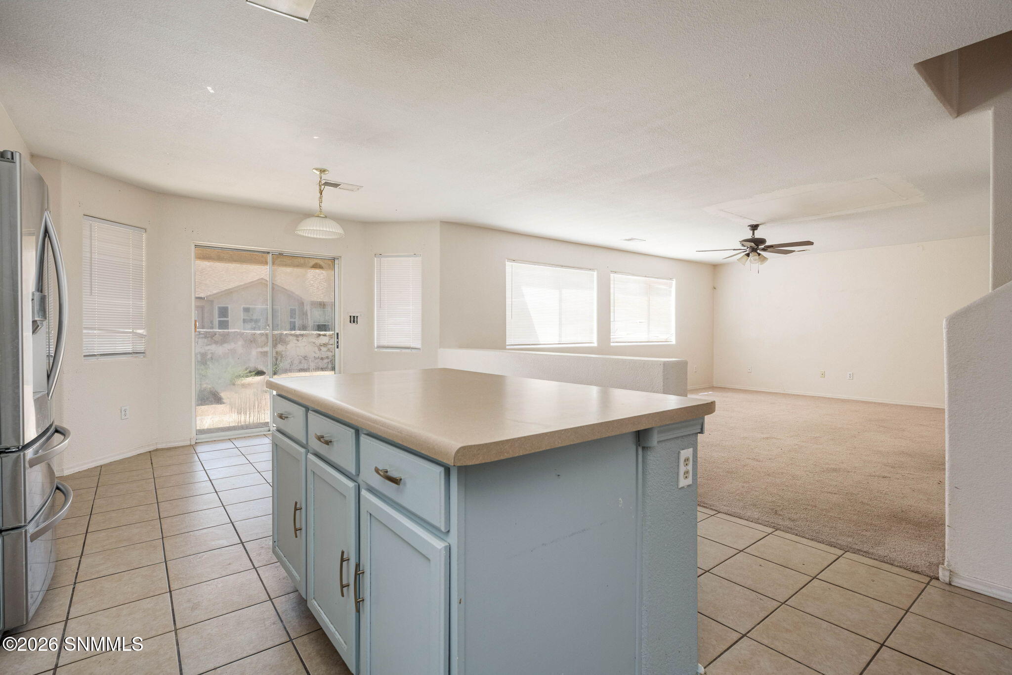 11_Patty Olson_Blue Mountain_Las Cruces