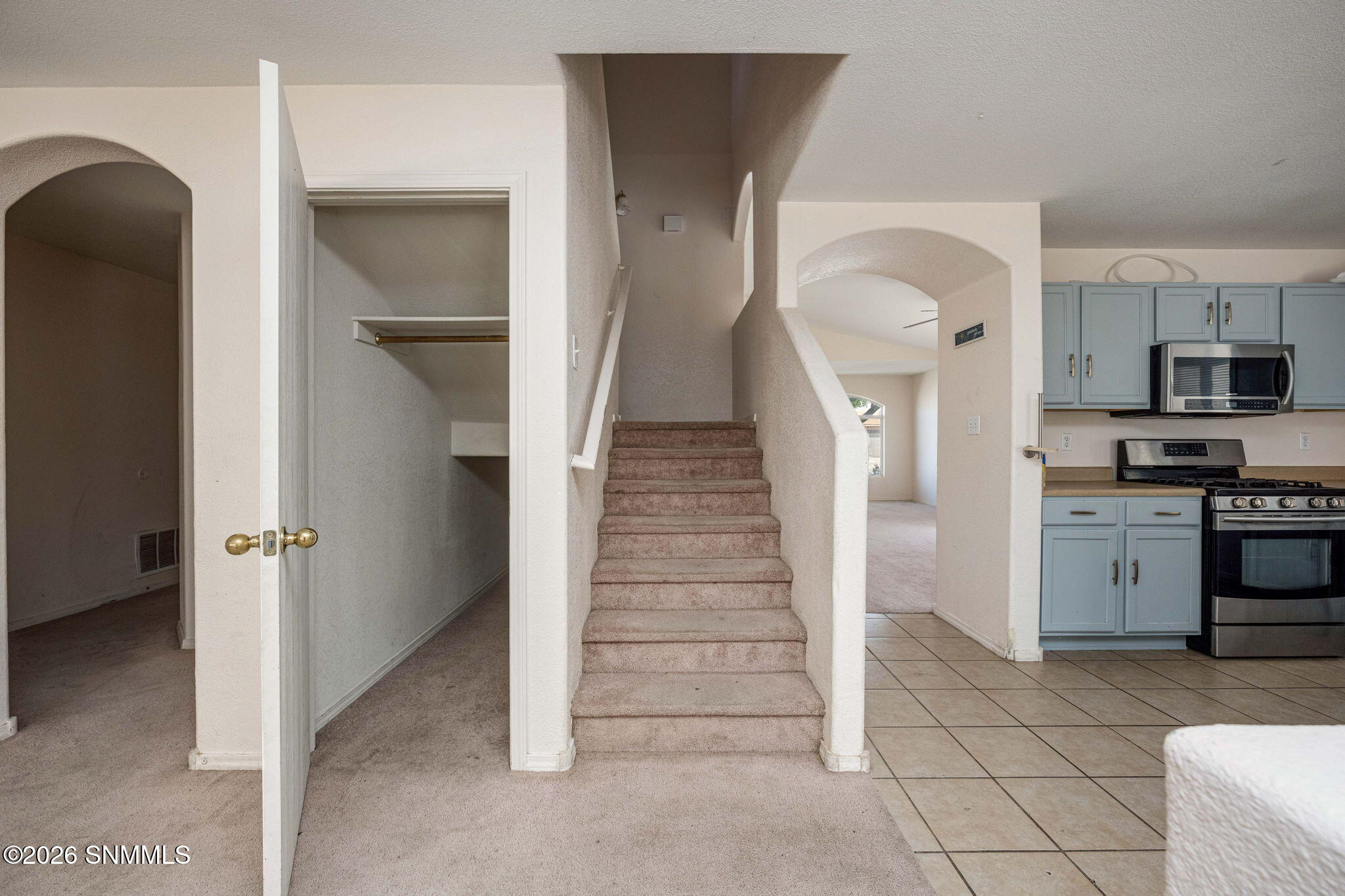 18_Patty Olson_Blue Mountain_Las Cruces