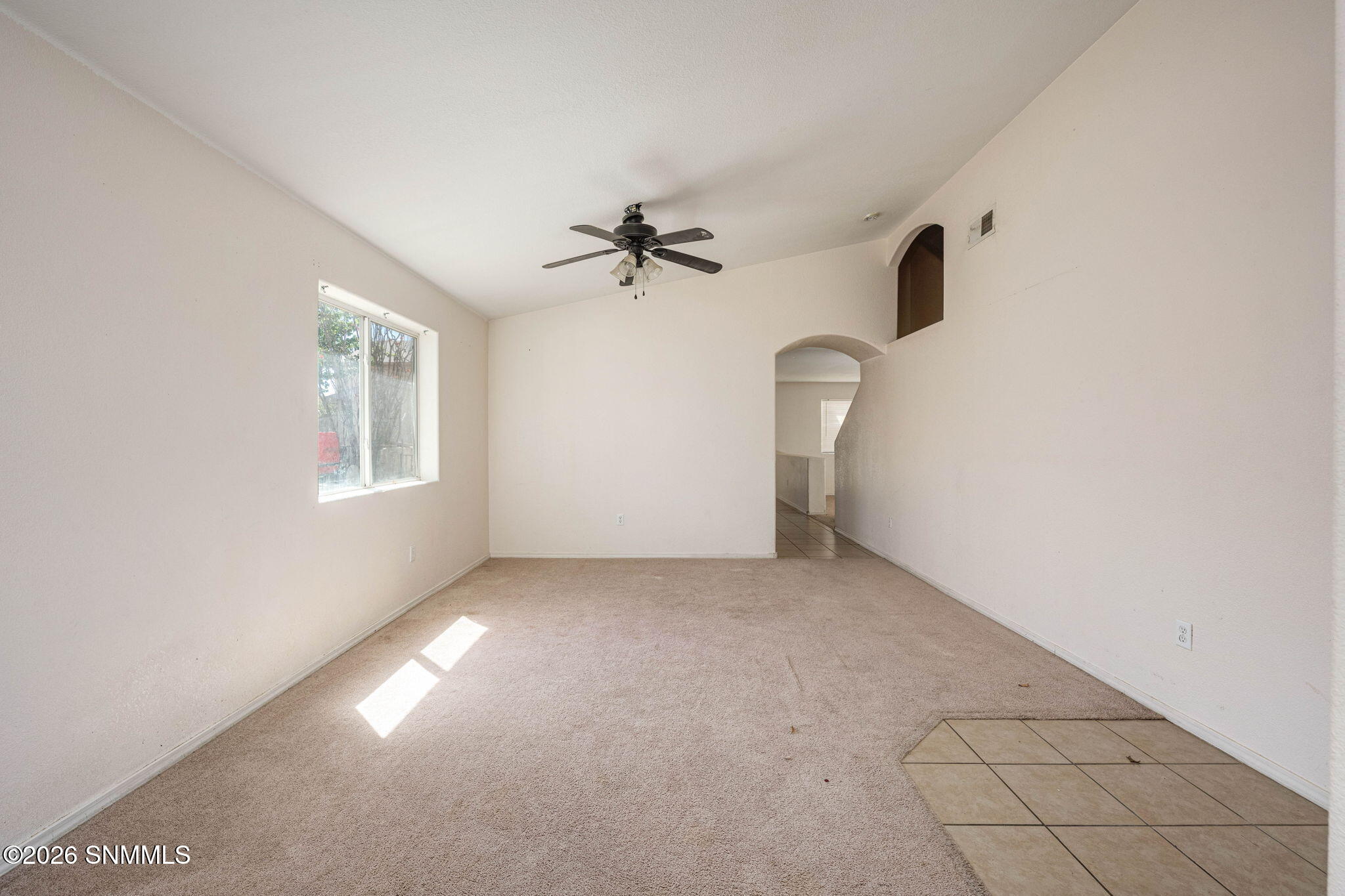 4_Patty Olson_Blue Mountain_Las Cruces