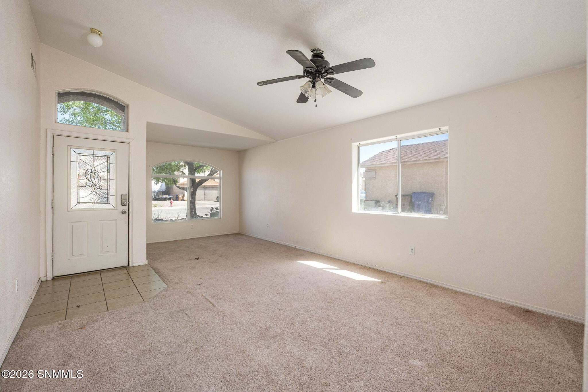 5_Patty Olson_Blue Mountain_Las Cruces