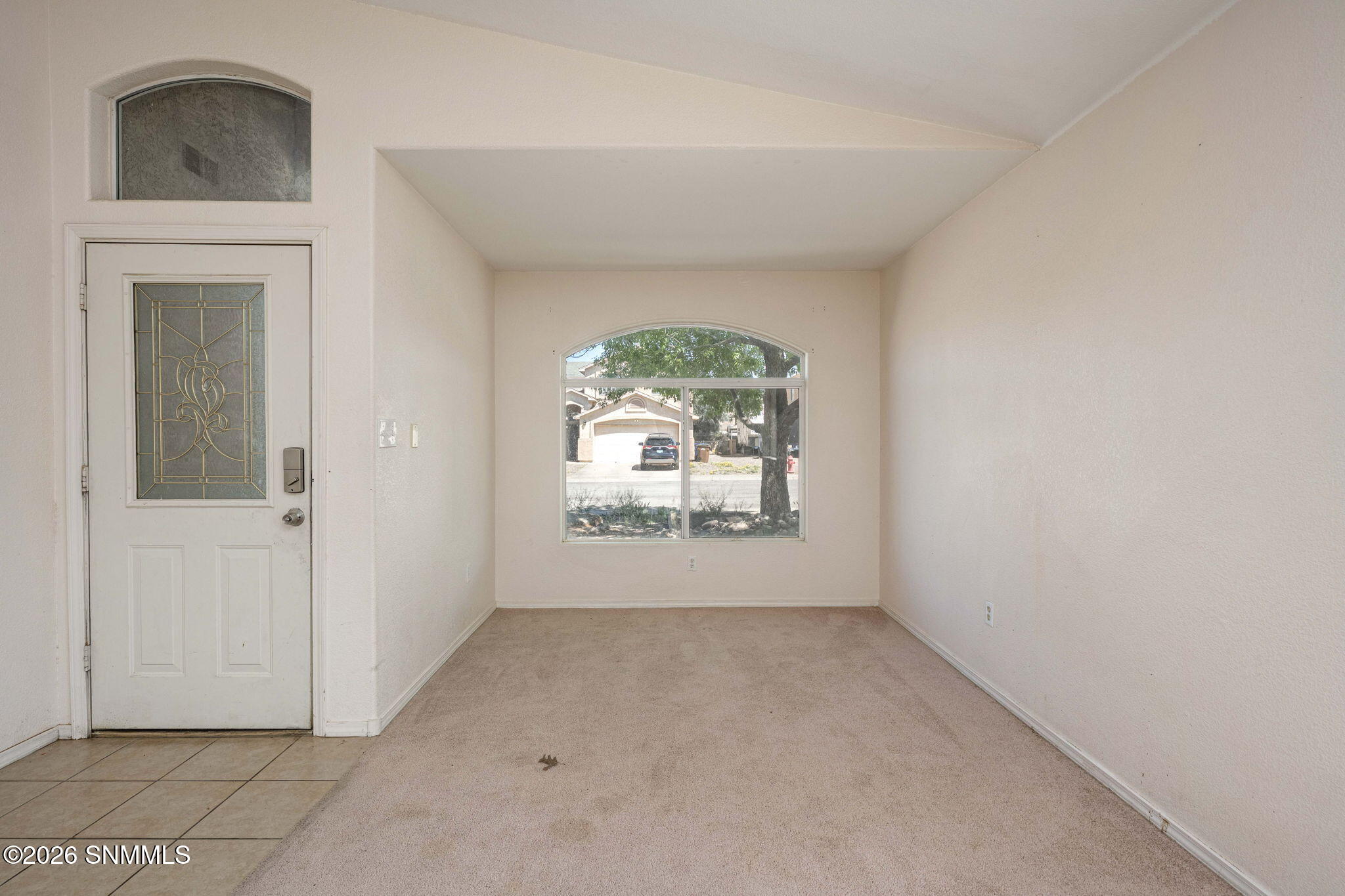 6_Patty Olson_Blue Mountain_Las Cruces