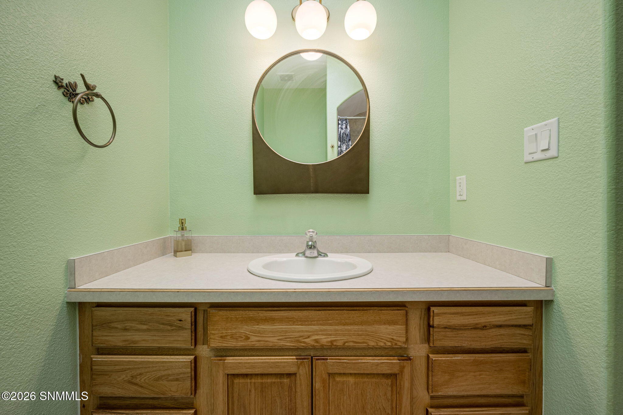 30-web-or-mls-Snappin Homes (Millennium2