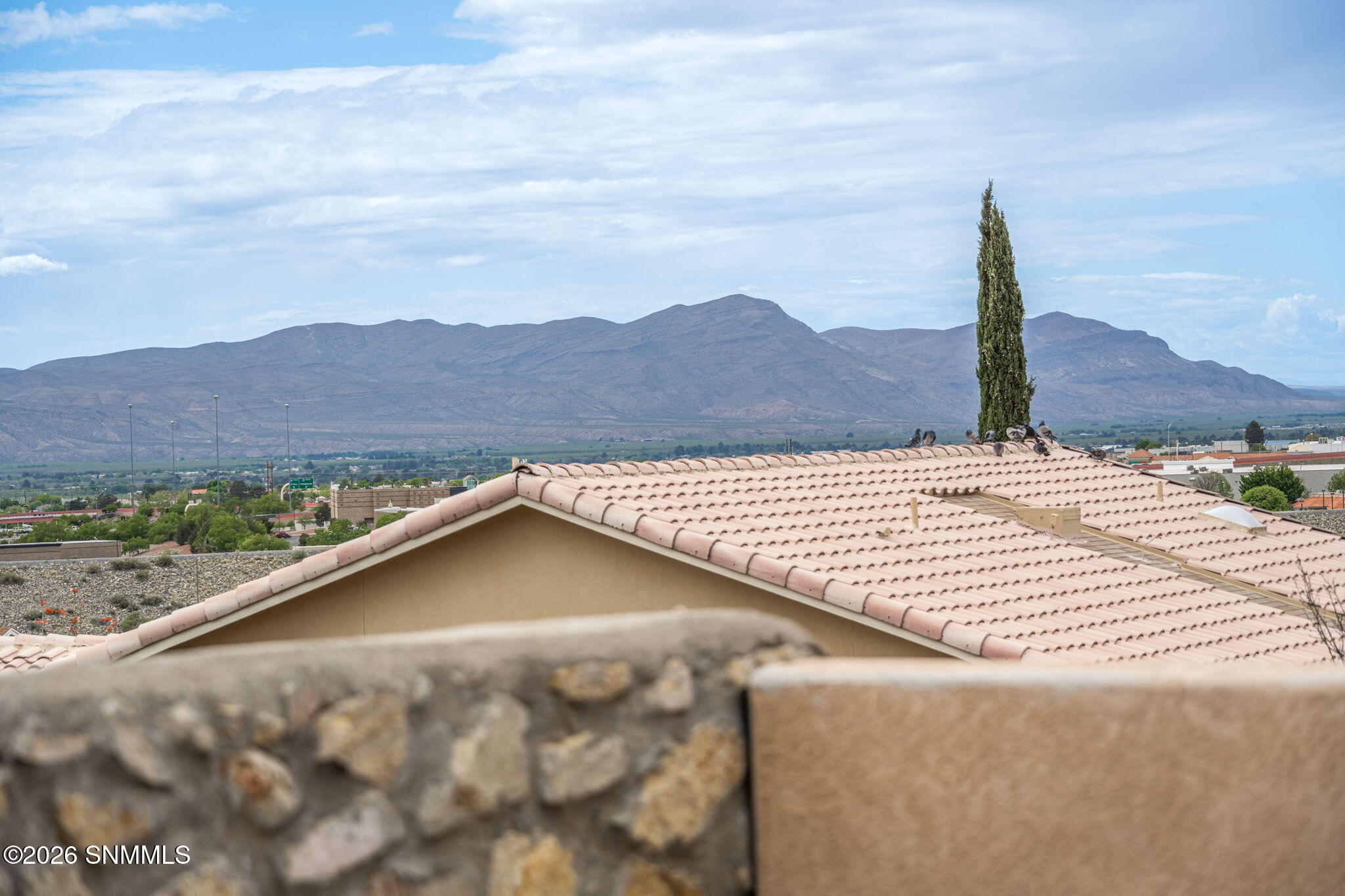 47-web-or-mls-Snappin Homes (Millennium2