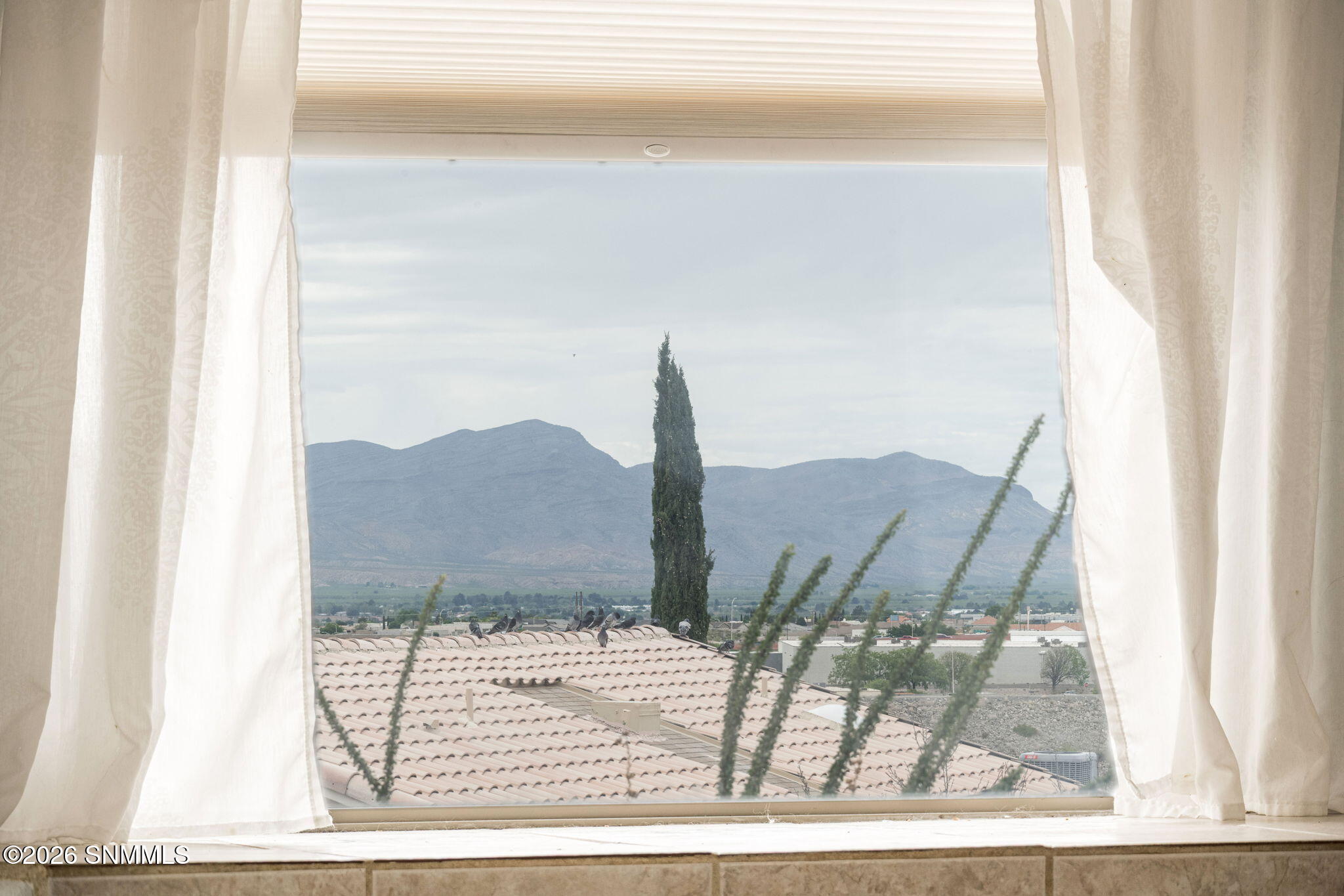 7-web-or-mls-Snappin Homes (Millennium25