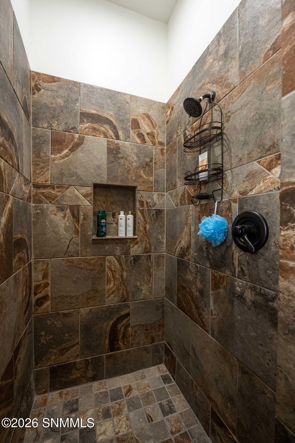 47-web-or-mls-Snappin Homes (LazoDelNort