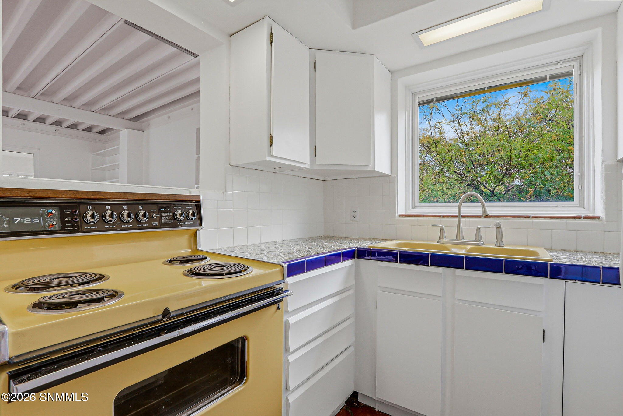 87-web-or-mls-IMG_9977