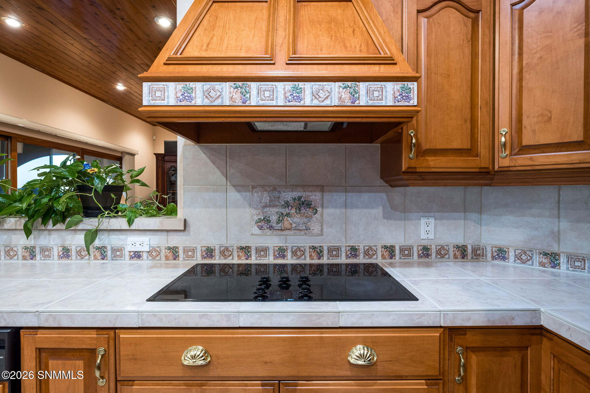 17-web-or-mls-Snappin Homes (Superstitio