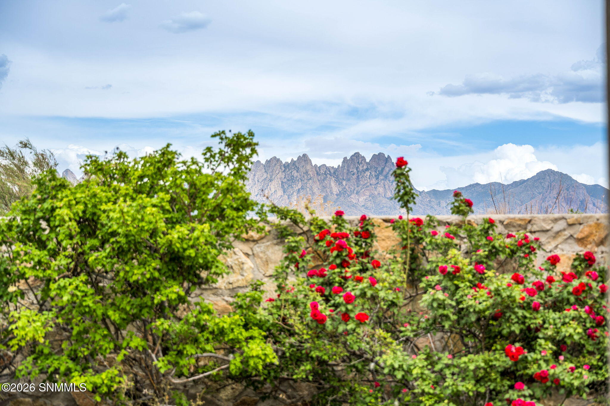 49-web-or-mls-Snappin Homes (Penasco2508