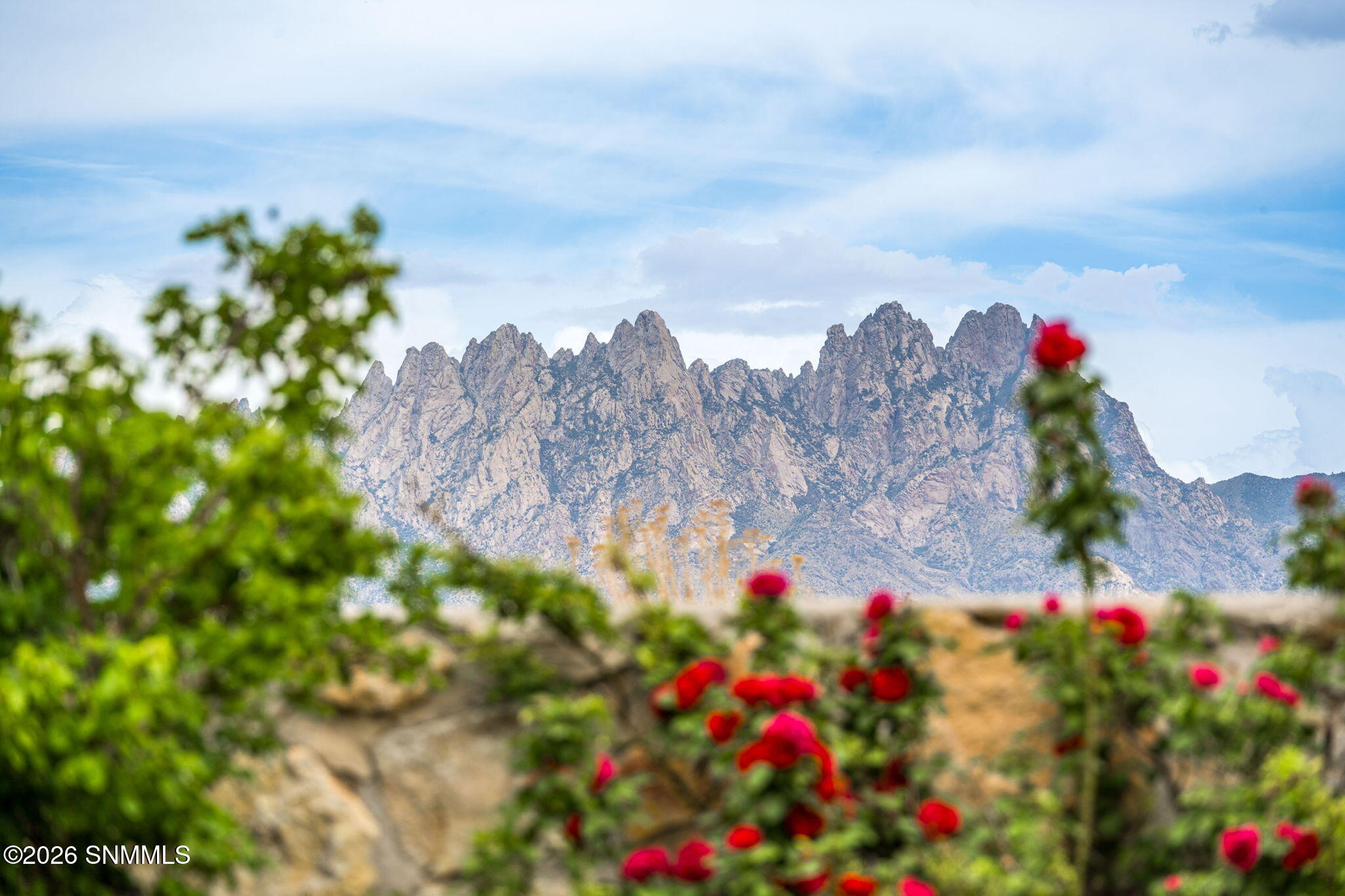 50-web-or-mls-Snappin Homes (Penasco2508