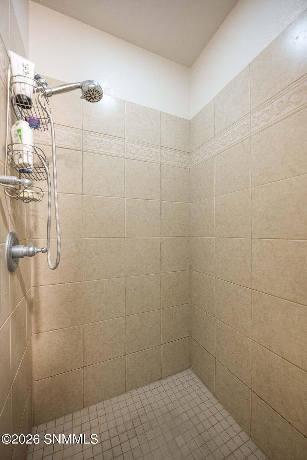 23-web-or-mls-Snappin Homes (Nemesh4074)