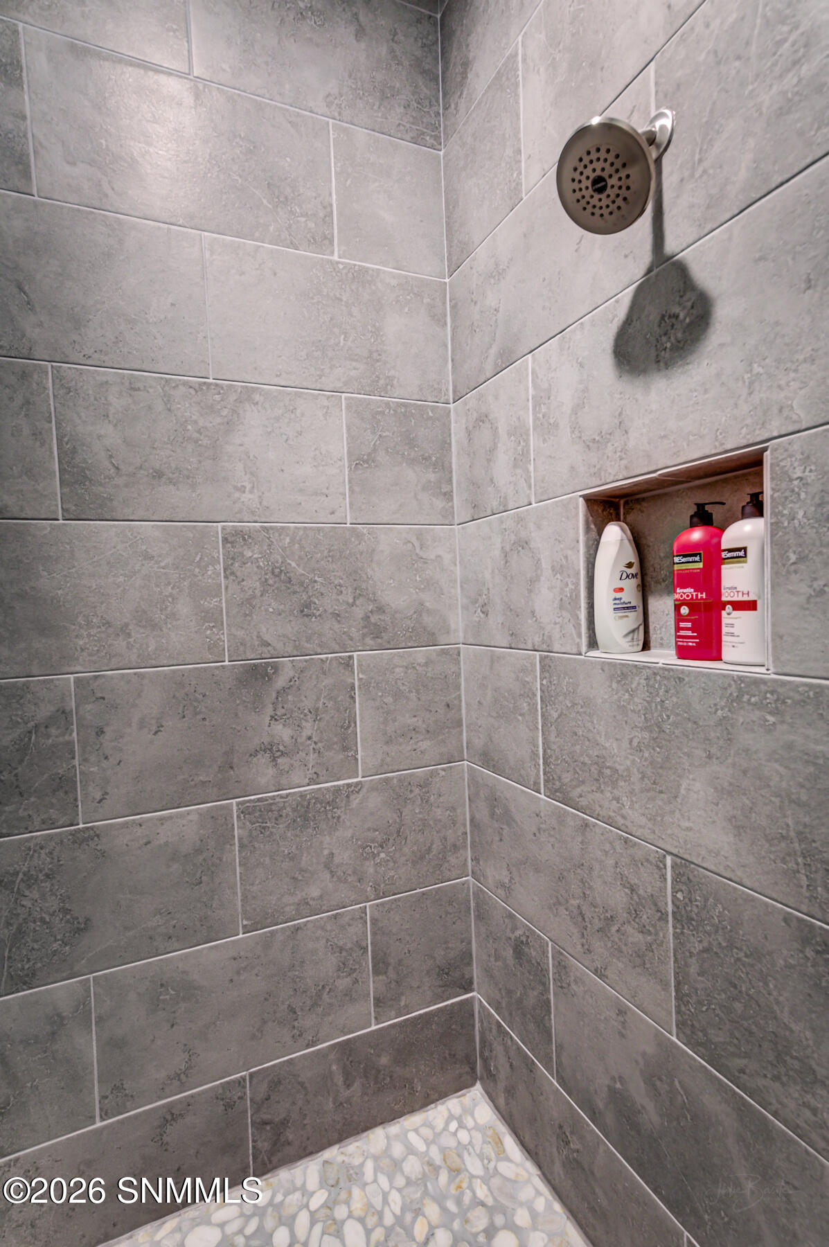 3872 Caspian Rd LCNM-33