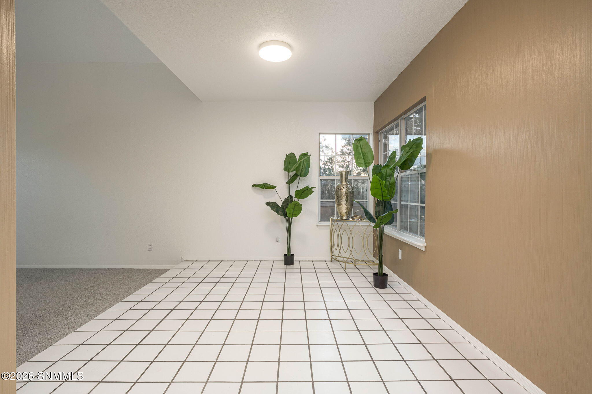 10-web-or-mls-Snappin Homes (SanFelipe22