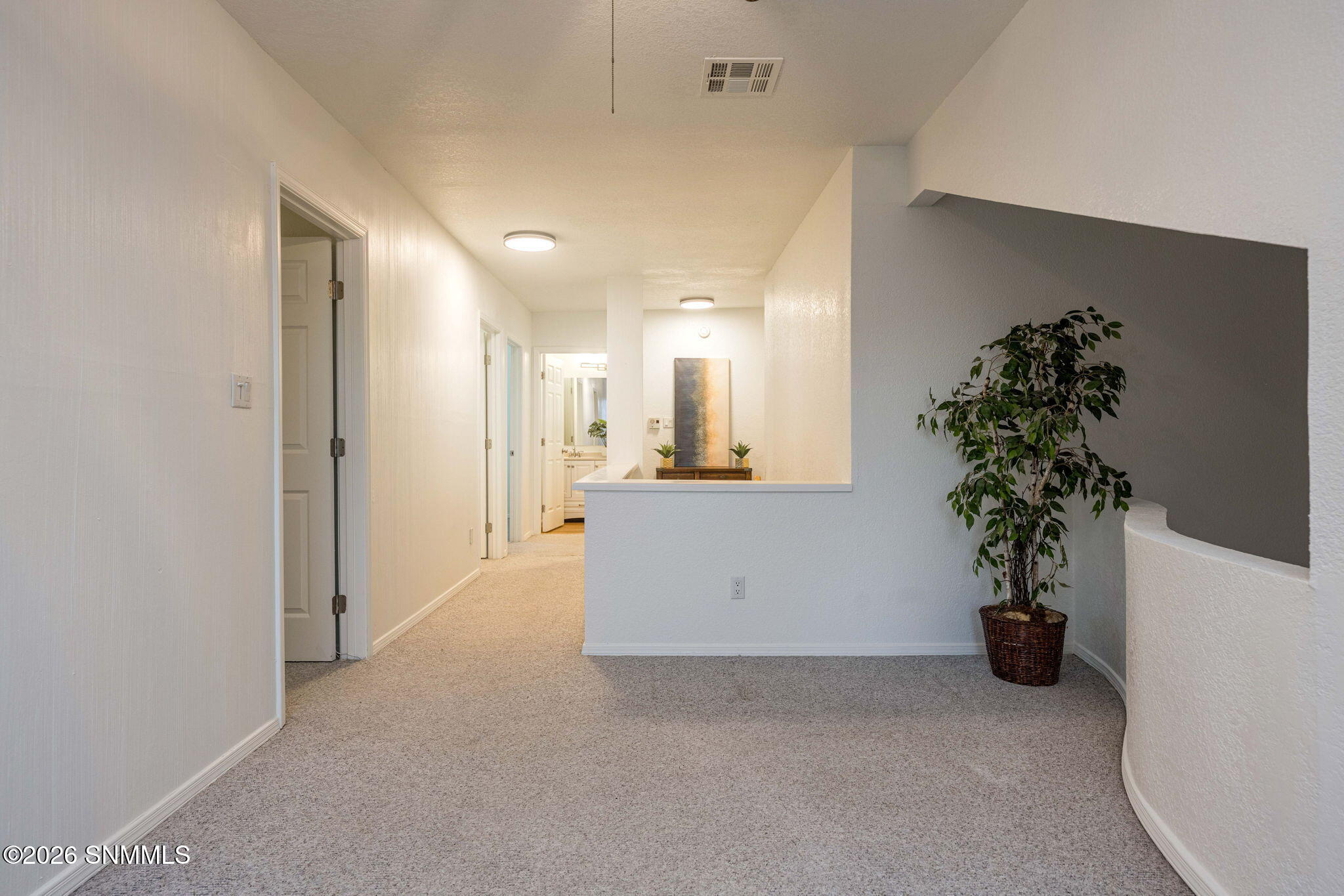 25-web-or-mls-Snappin Homes (SanFelipe22