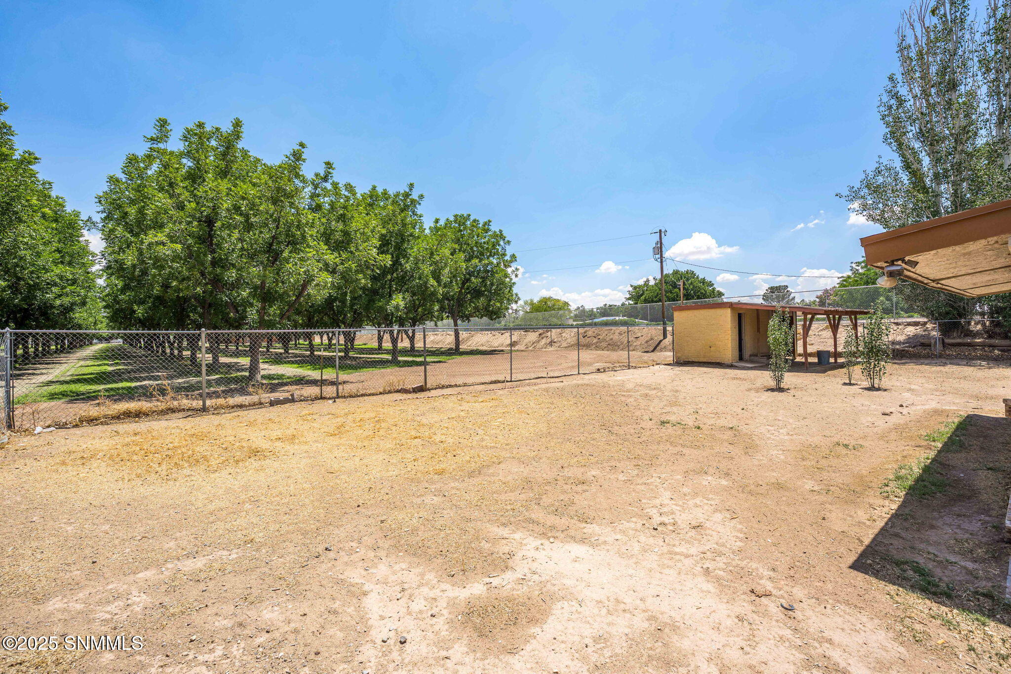 31-web-or-mls-Snappin Homes (DonaAna2265