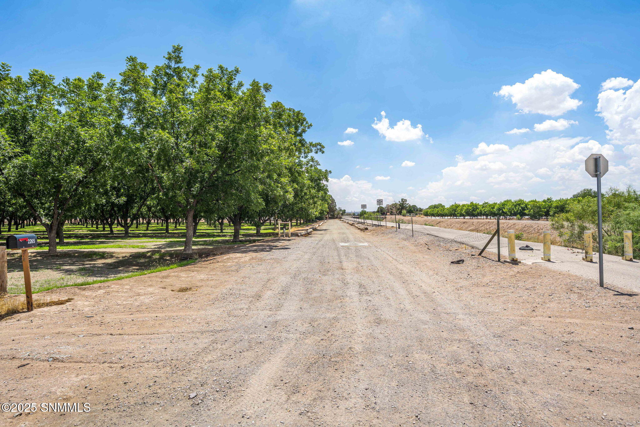 46-web-or-mls-Snappin Homes (DonaAna2265