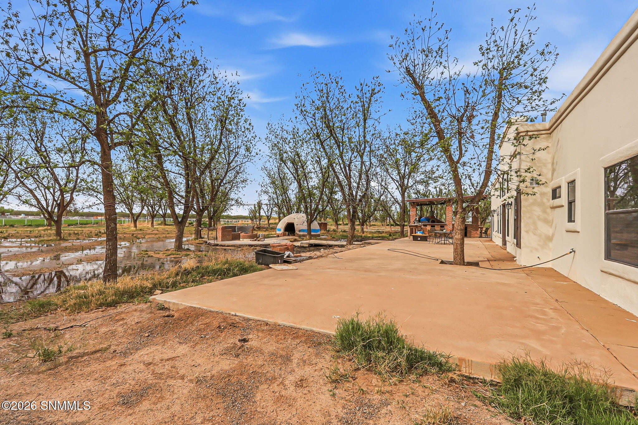 44-web-or-mls-IMG_9102