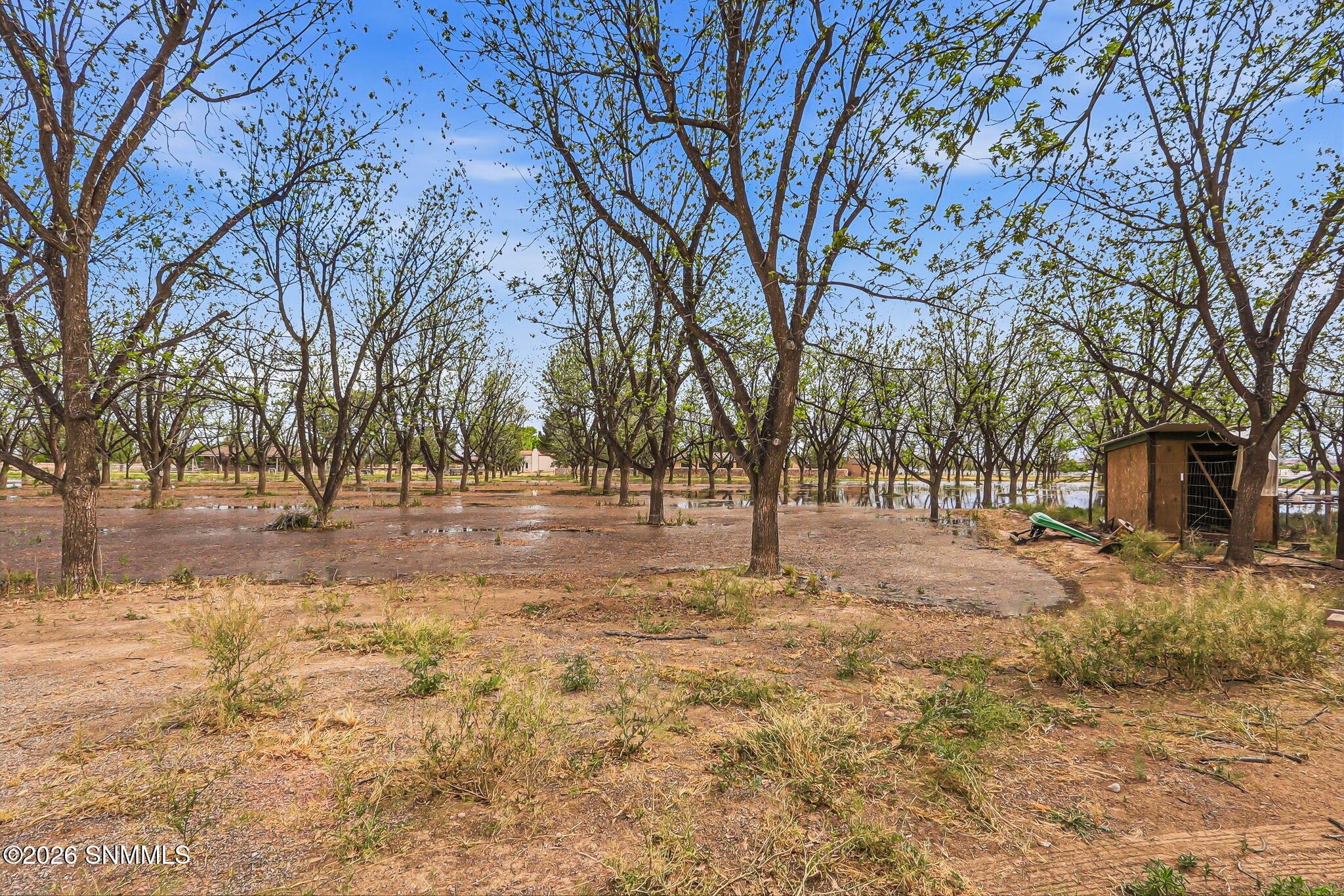 48-web-or-mls-IMG_9116