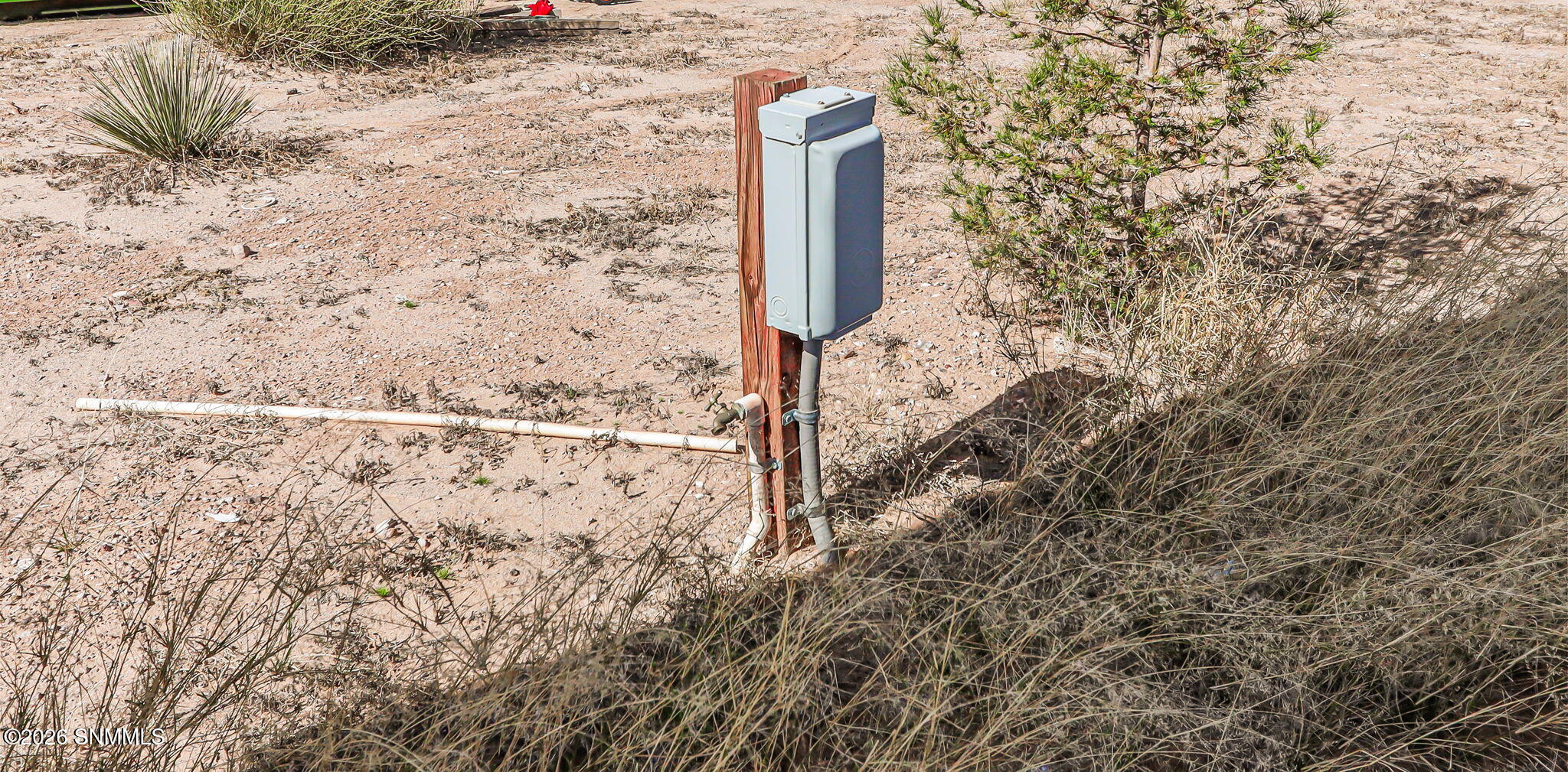 14-web-or-mls-IMG_1867