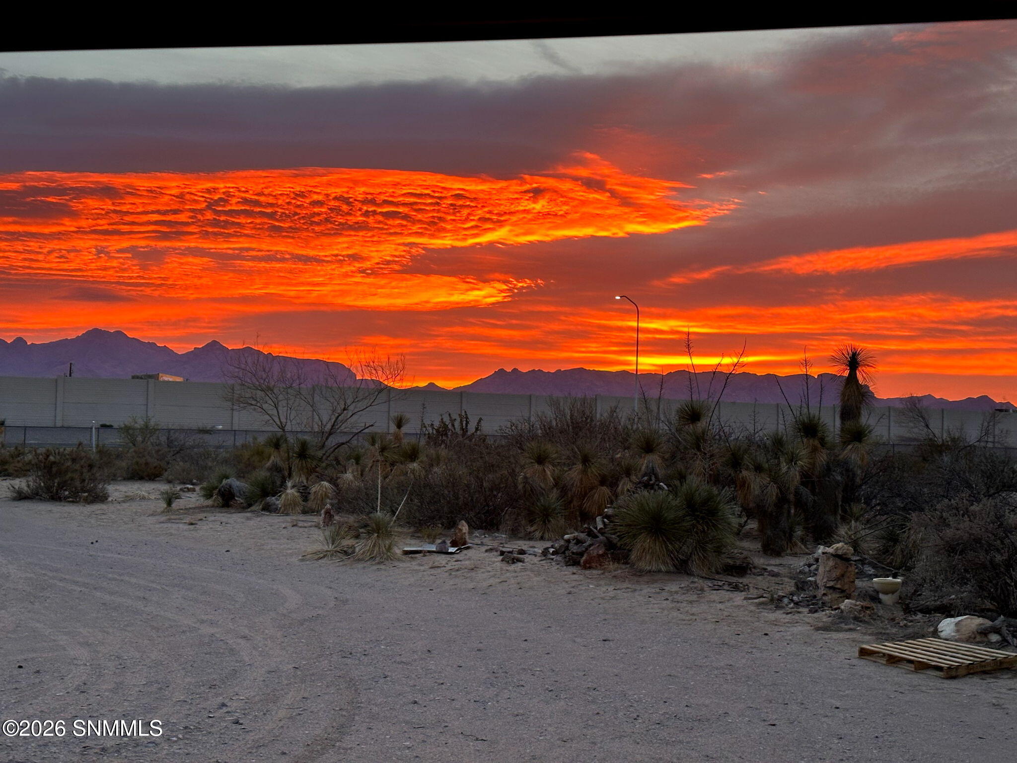 91-web-or-mls-Resized_IMG_3965