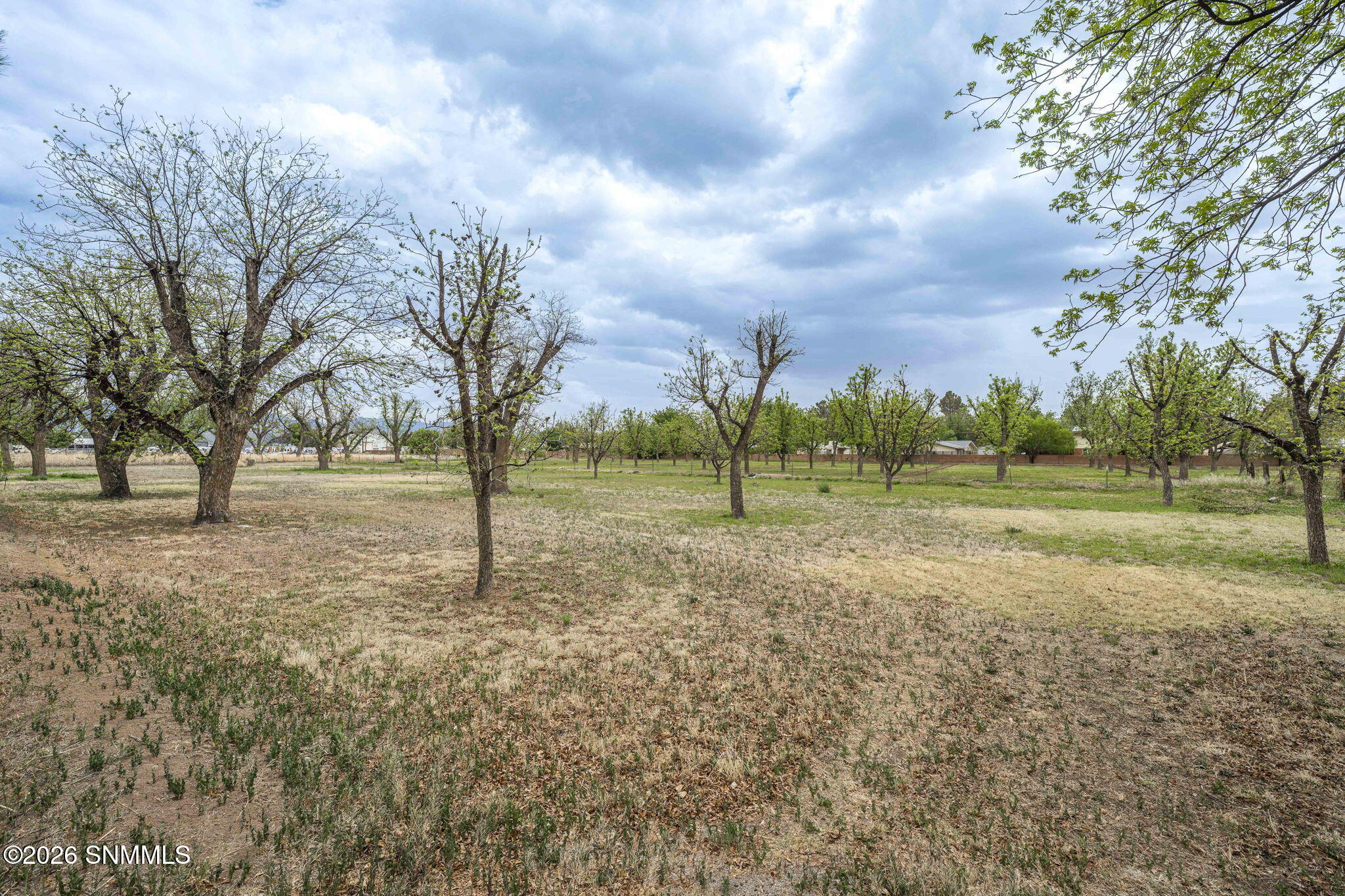 49-web-or-mls-Snappin Homes (Brown1461)-