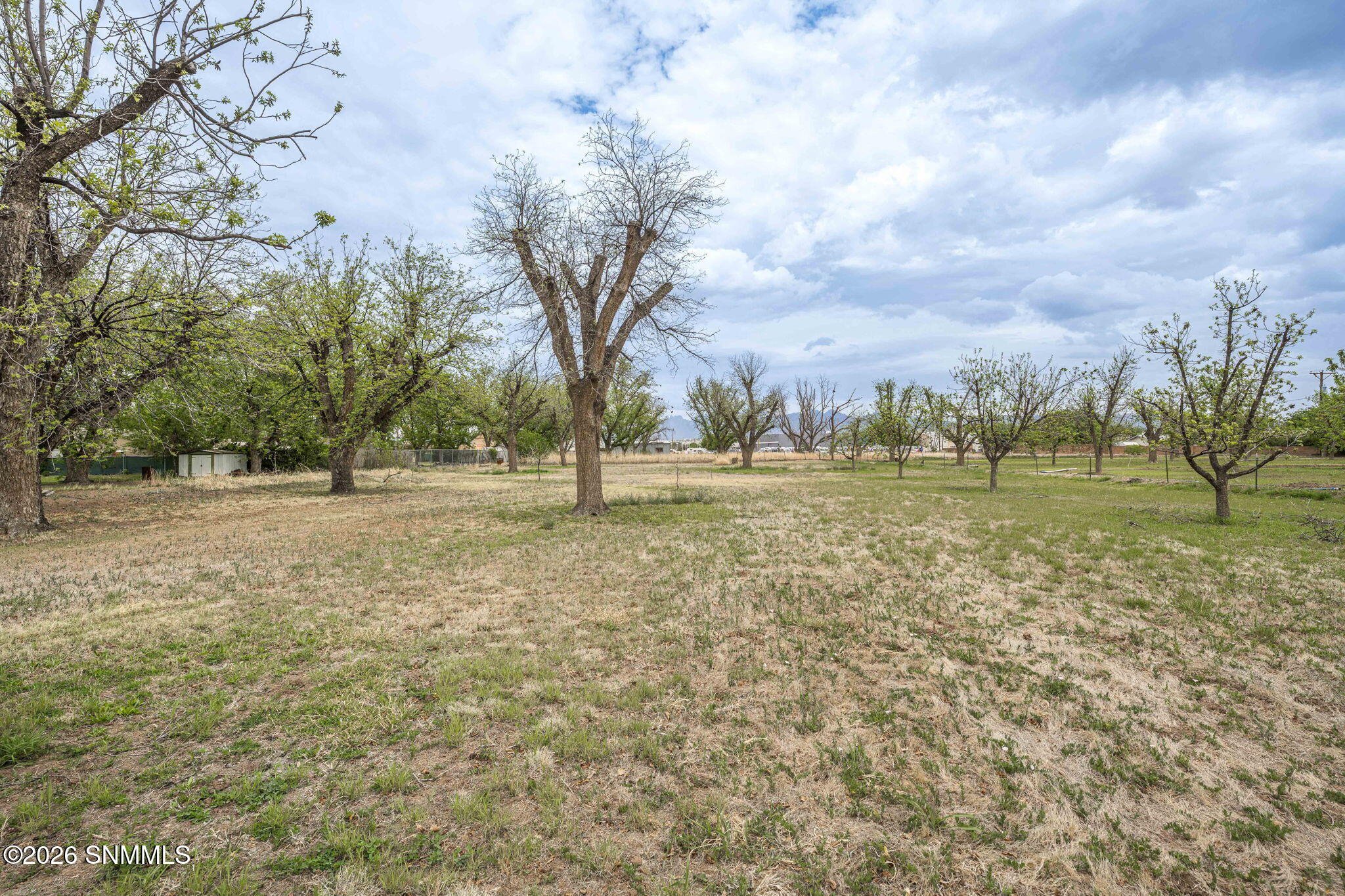 51-web-or-mls-Snappin Homes (Brown1461)-