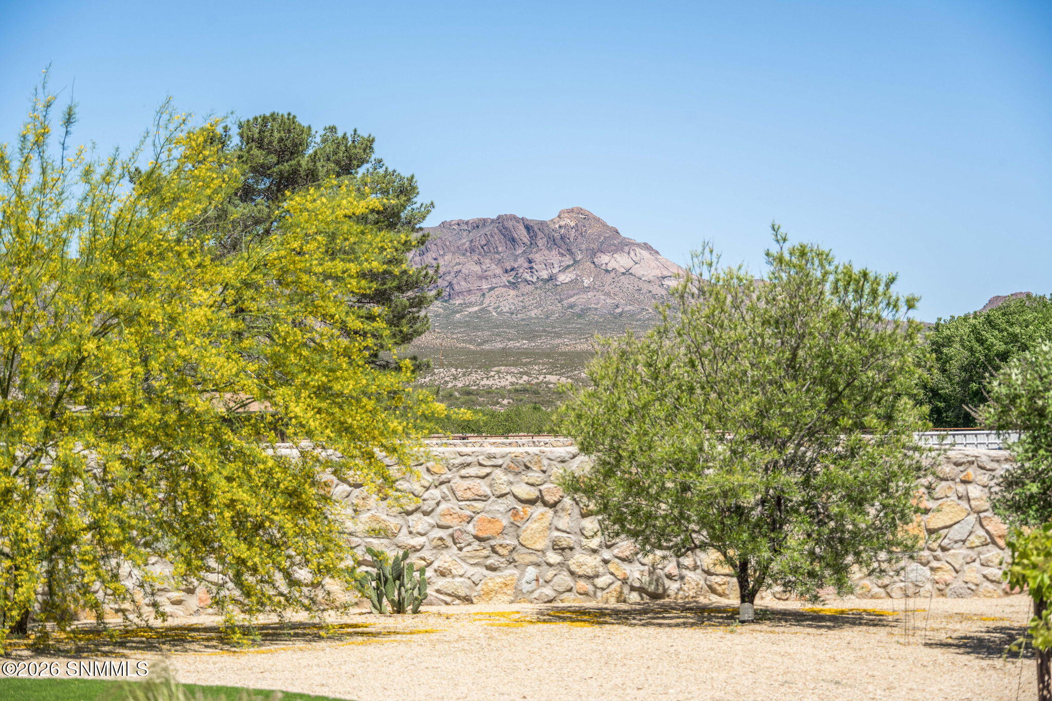 51-web-or-mls-Snappin Homes (RedCap391)-