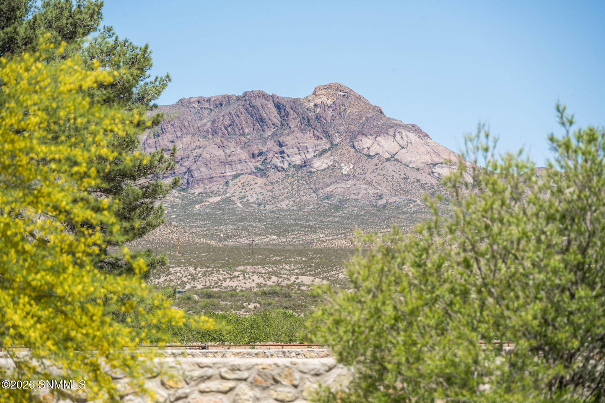 52-web-or-mls-Snappin Homes (RedCap391)-